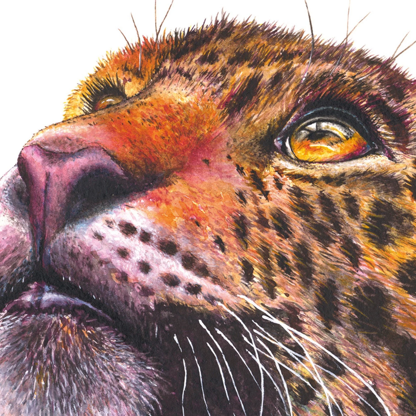 Cat-Leopard-and-a-Bumblebee-2-72ppi.jpg