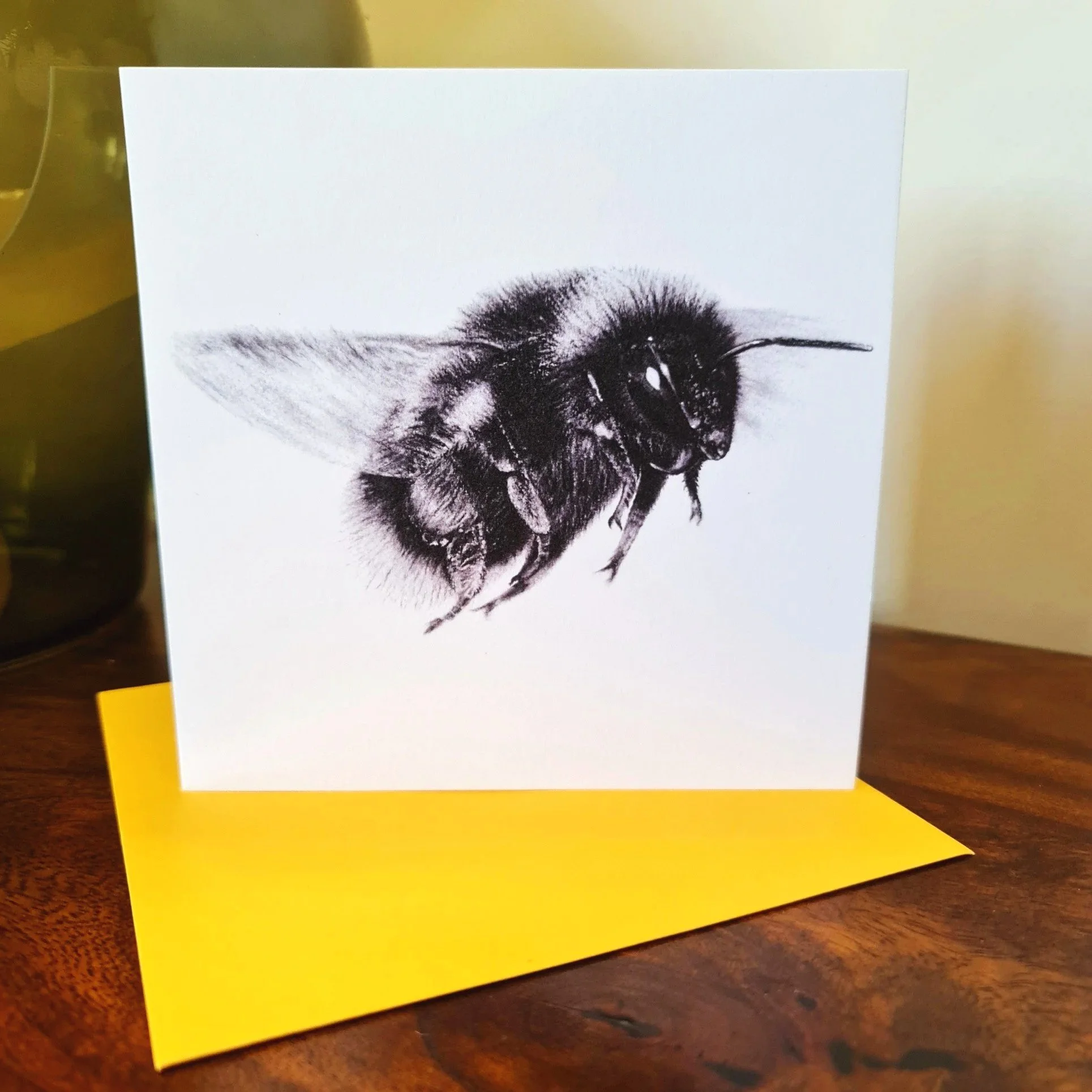 Bumblebee+3.jpg