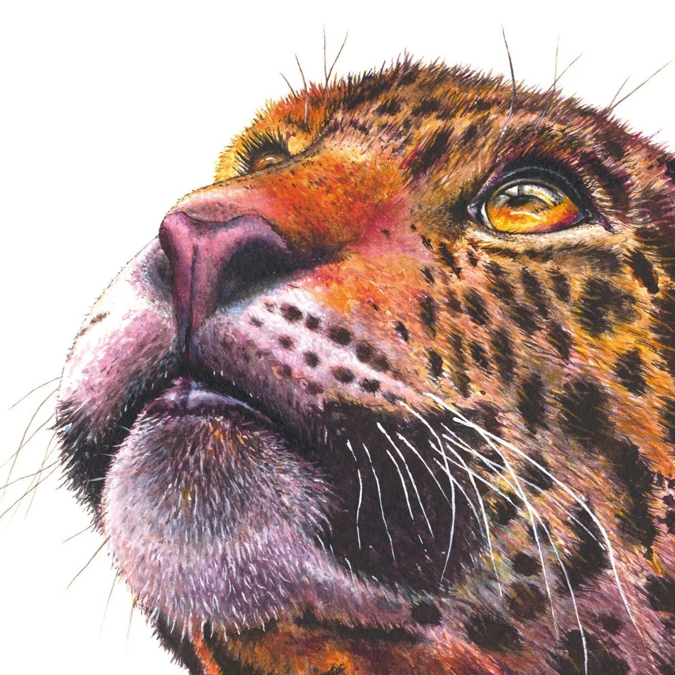 Cat-Leopard-and-a-Bumblebee-1-72ppi.jpg