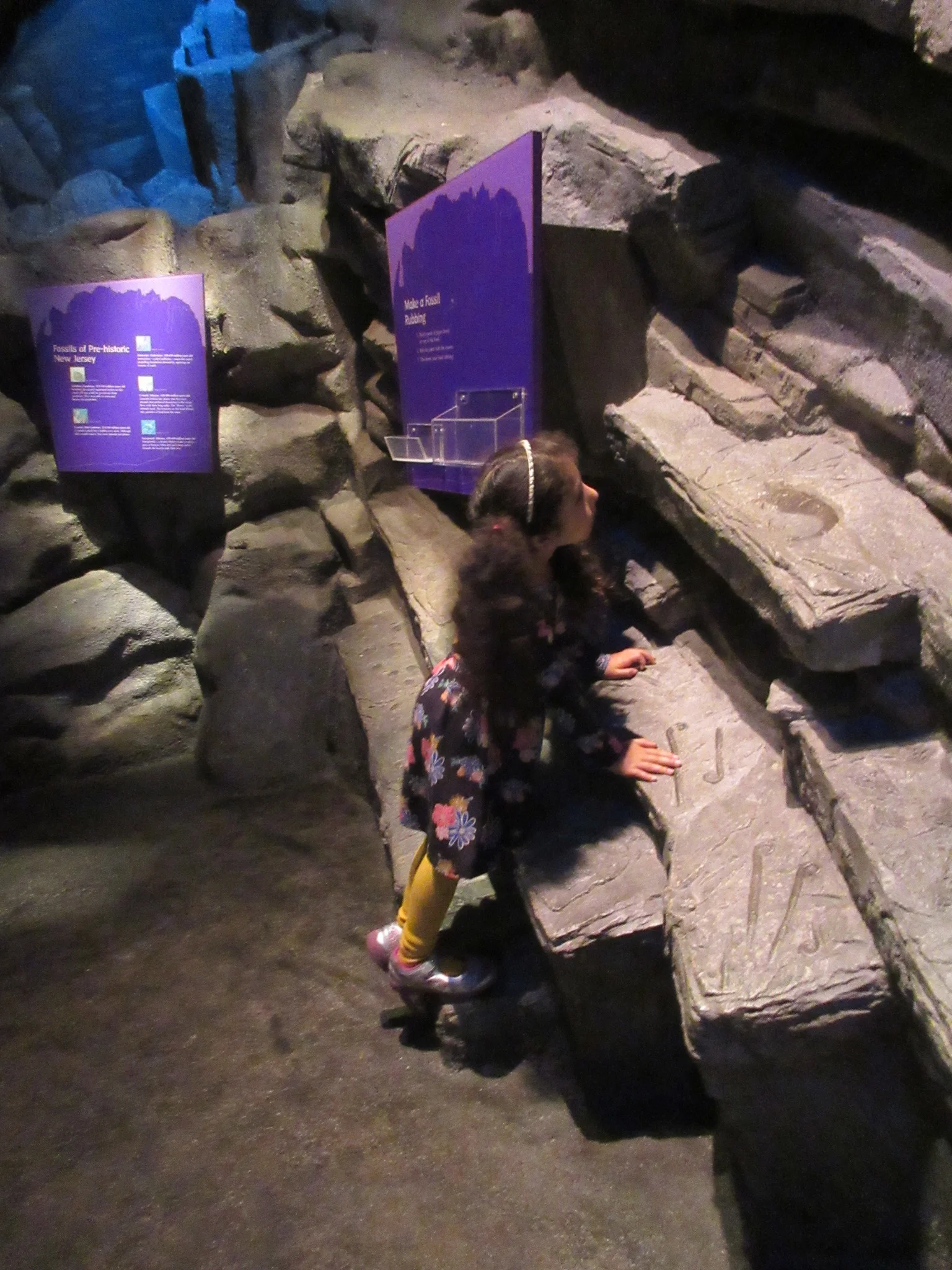 Looking for fossils through the Layers of the Earth