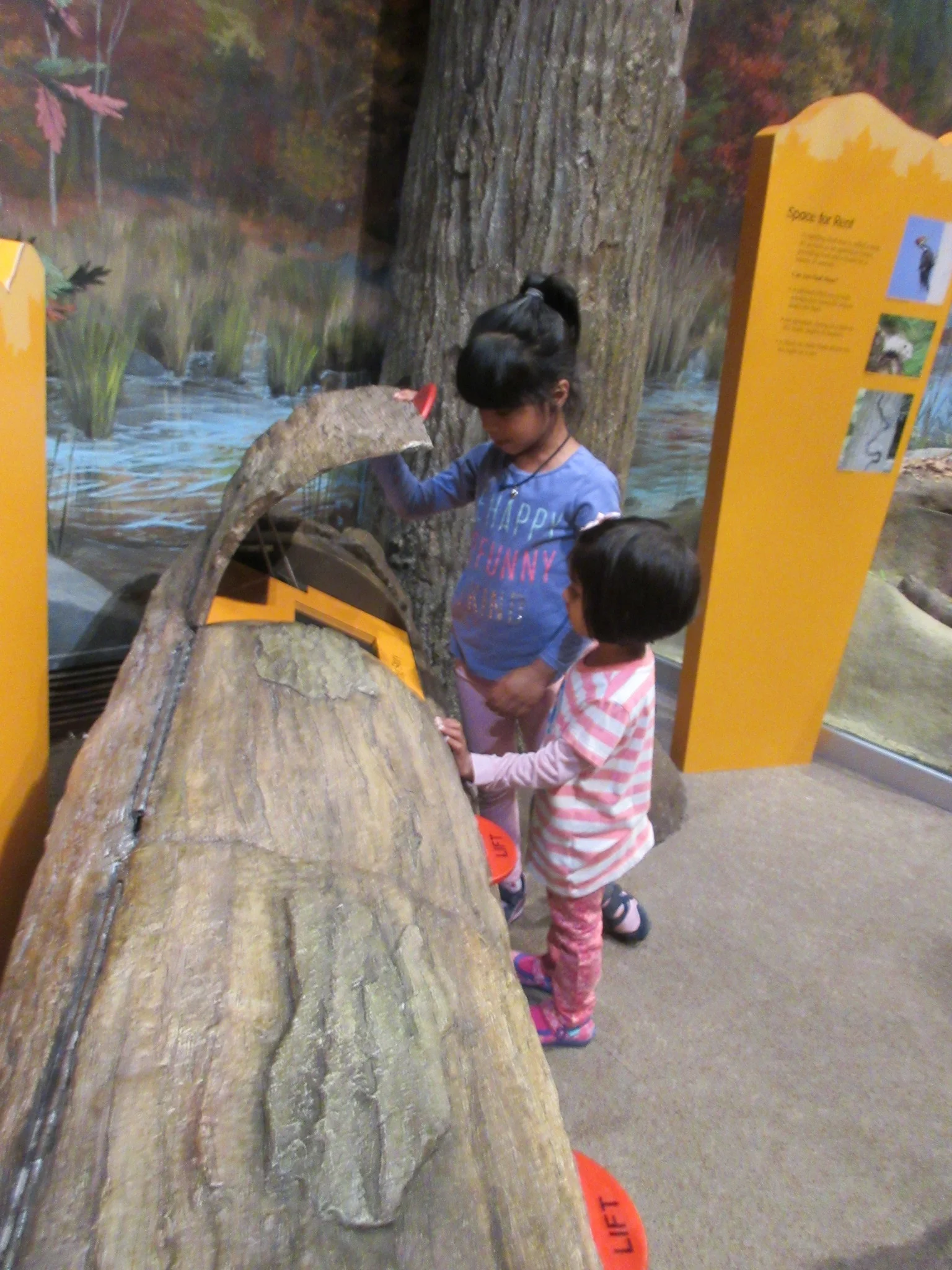 Discovering more about natural habitats