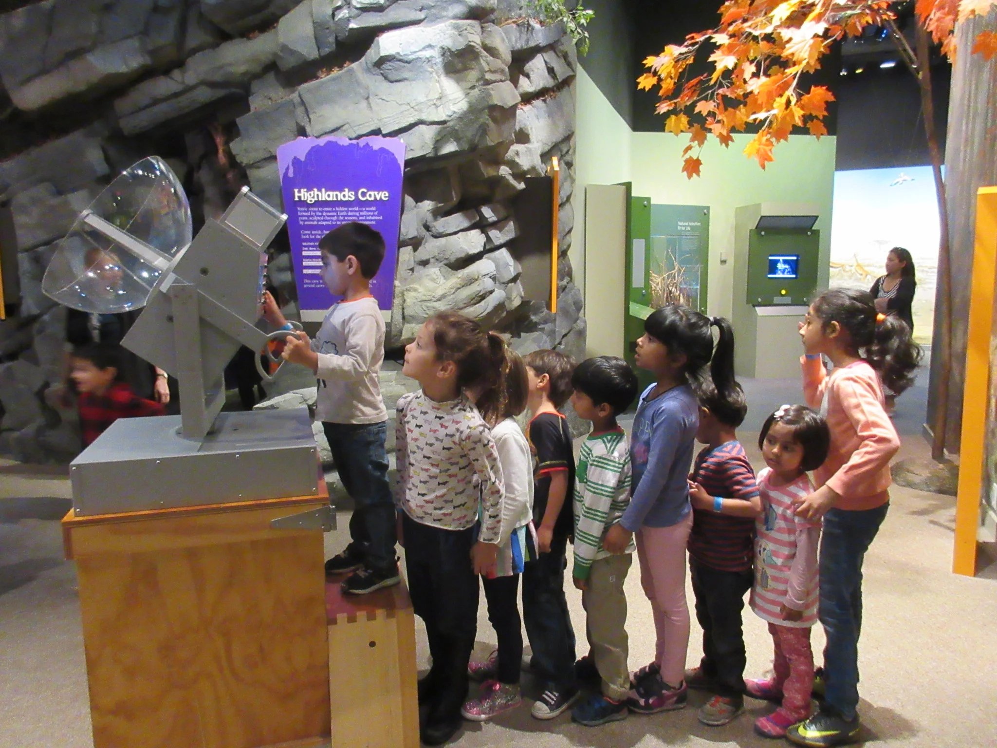 Exploring nature using an instrument at the museum
