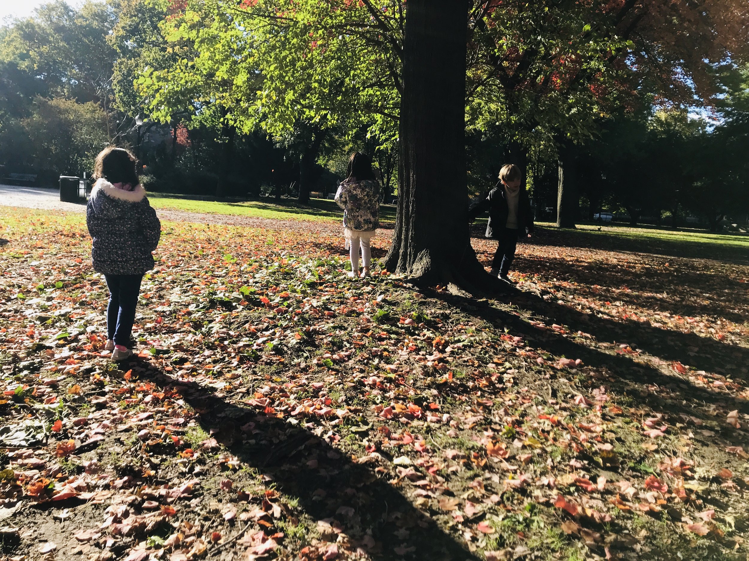 Beautiful autumn nature play!