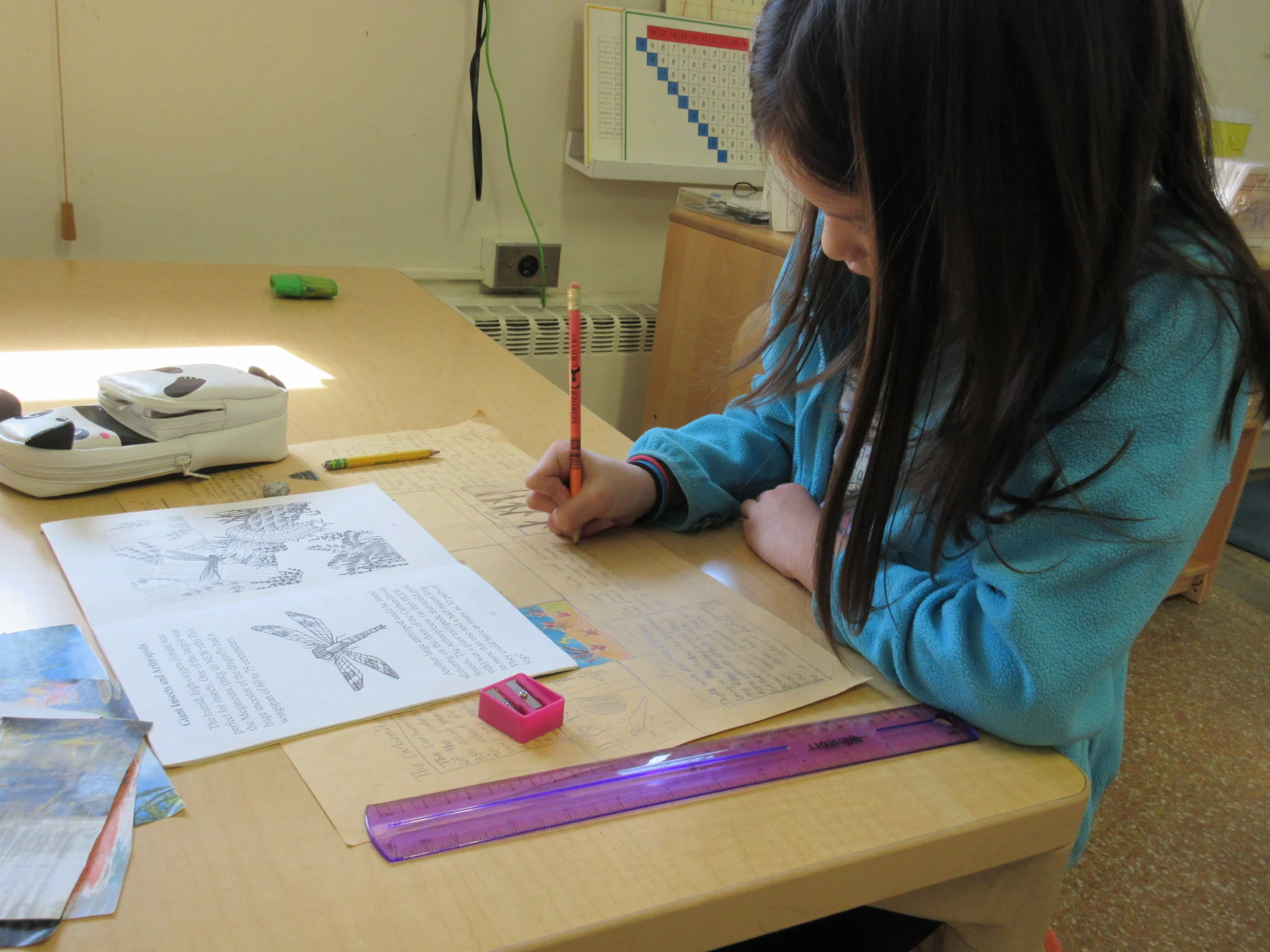 Timeline of life