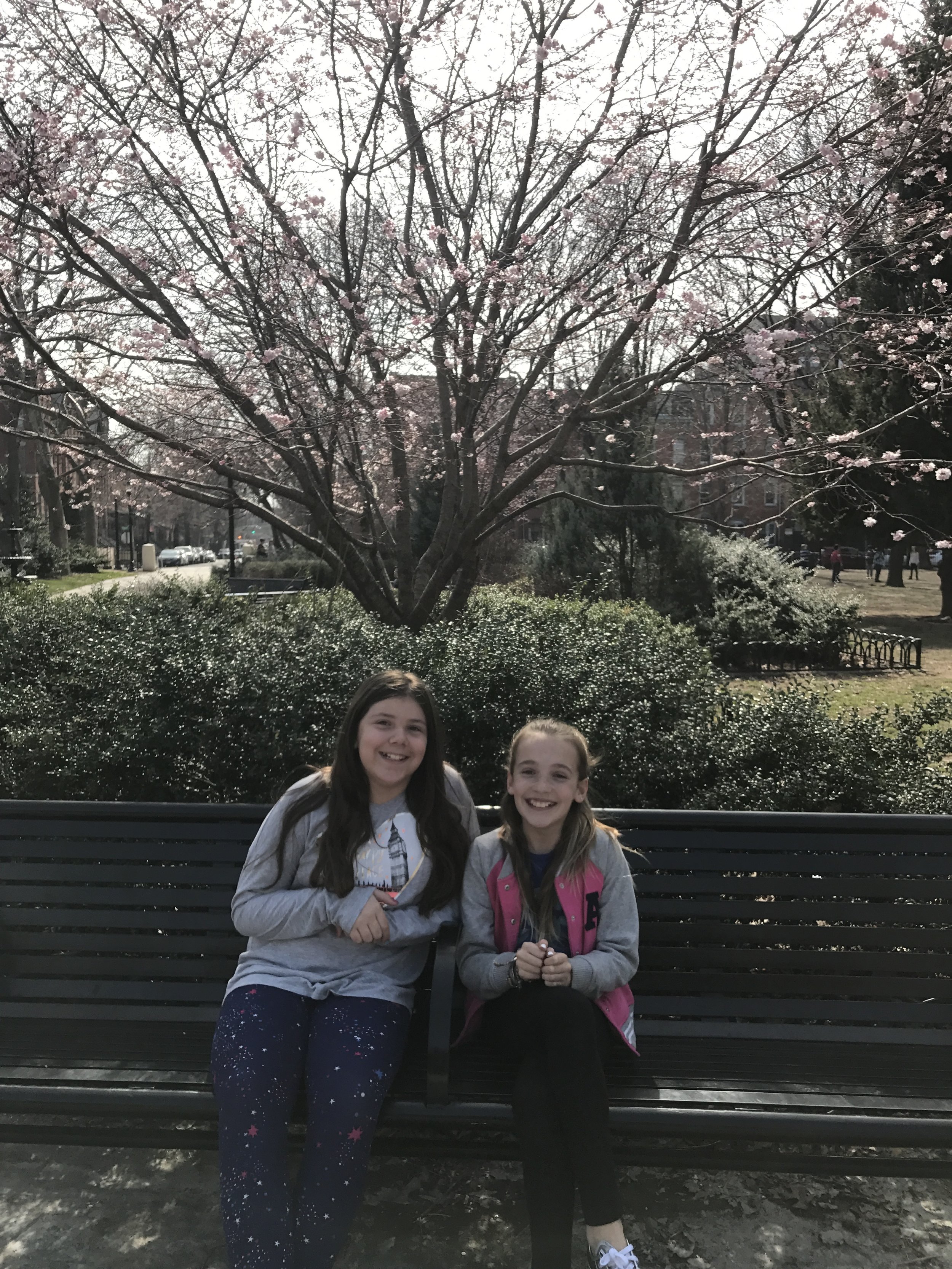 Orion Room friends enjoying the unusually warm weather