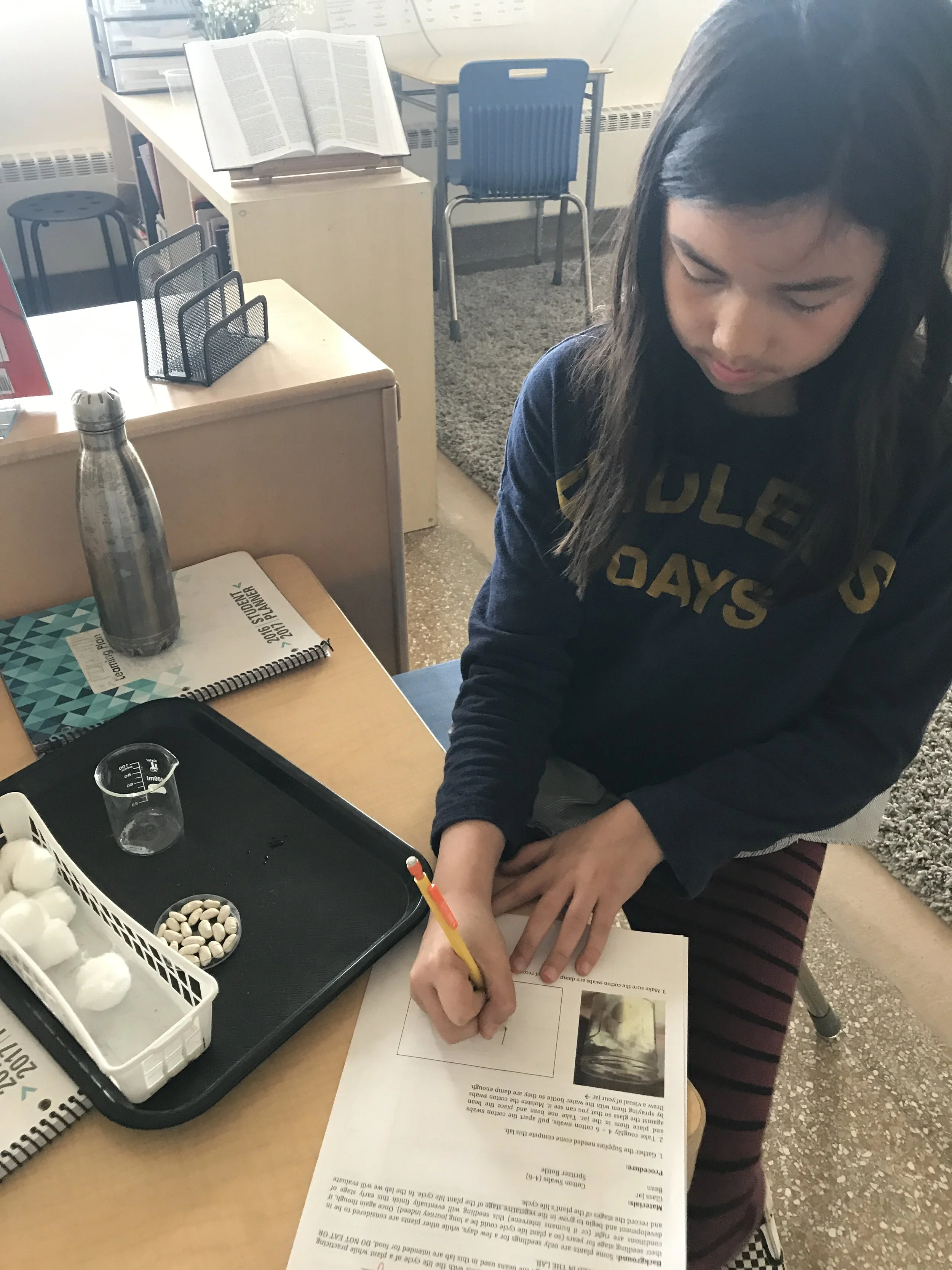 Orion Room friend completing her life cycle of plants lab in Science 