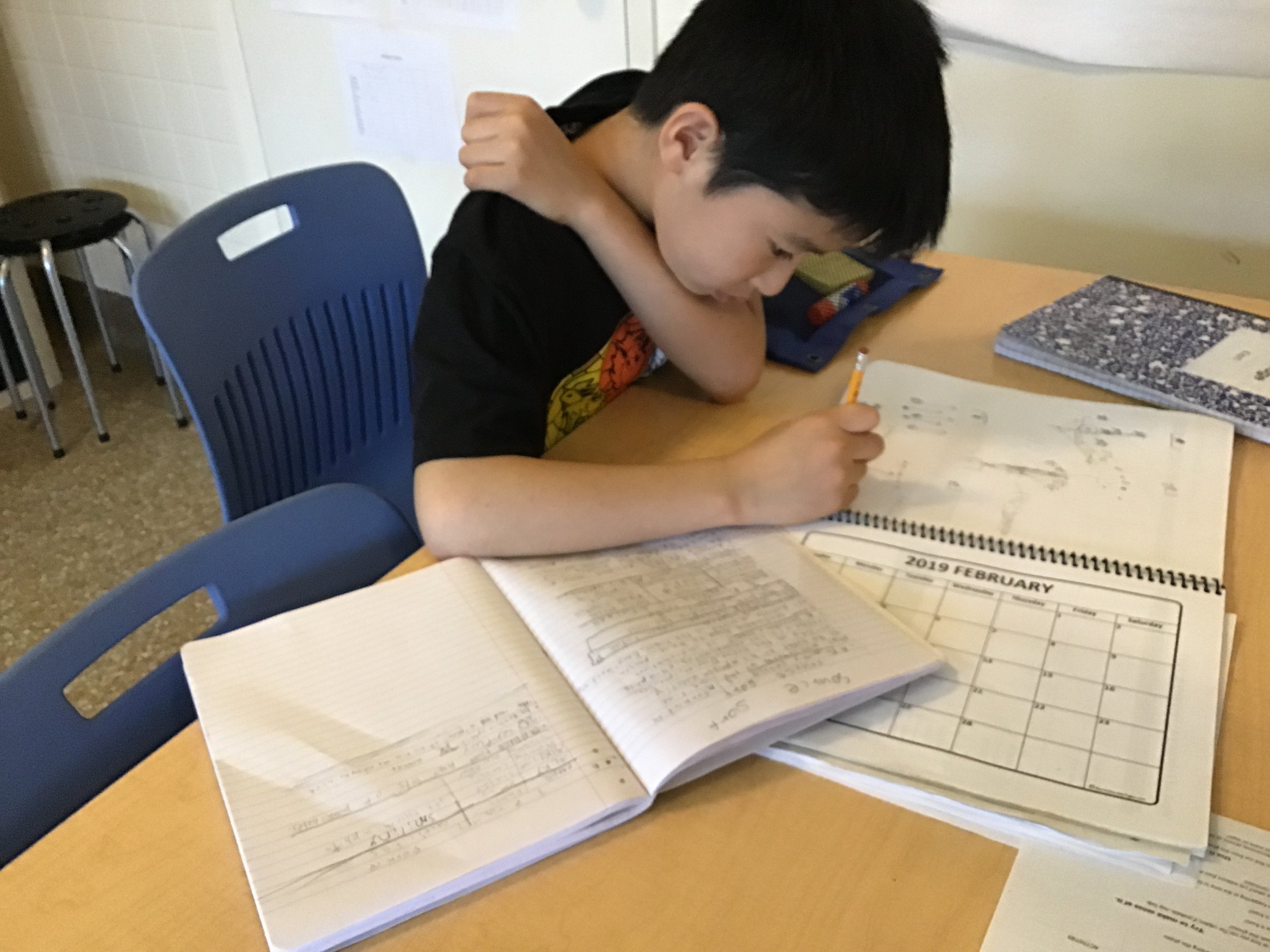 Annotating a food chain diagram in Science