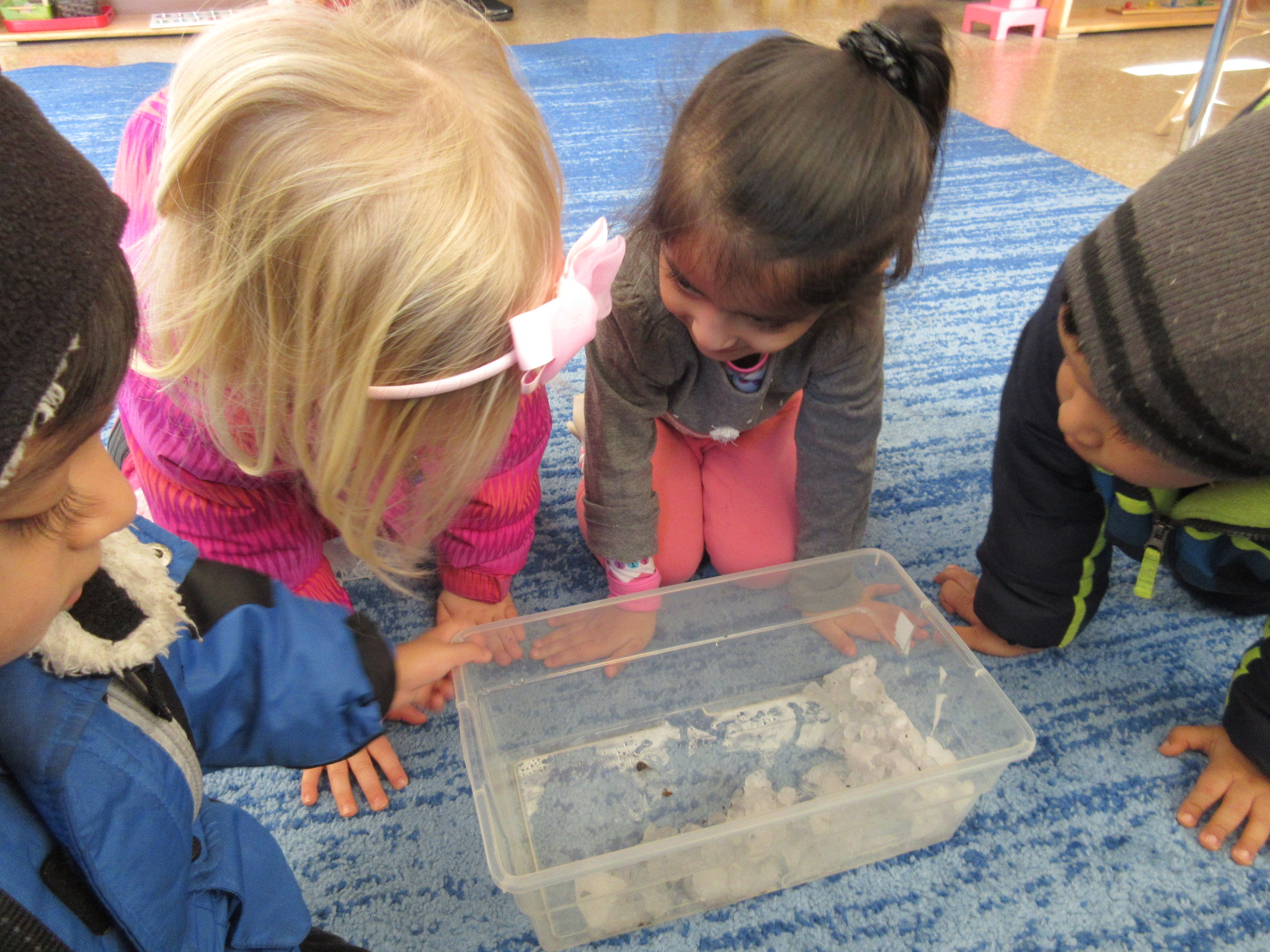 Exploring melting snow