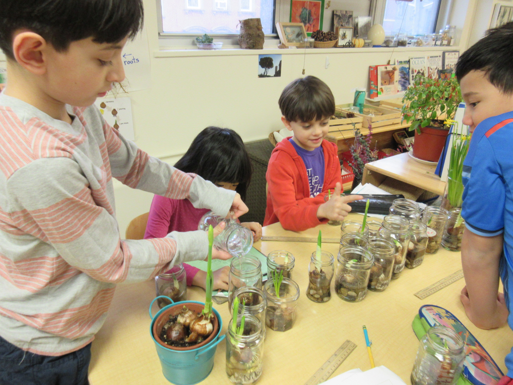 We check in on our bulbs twice a week. 