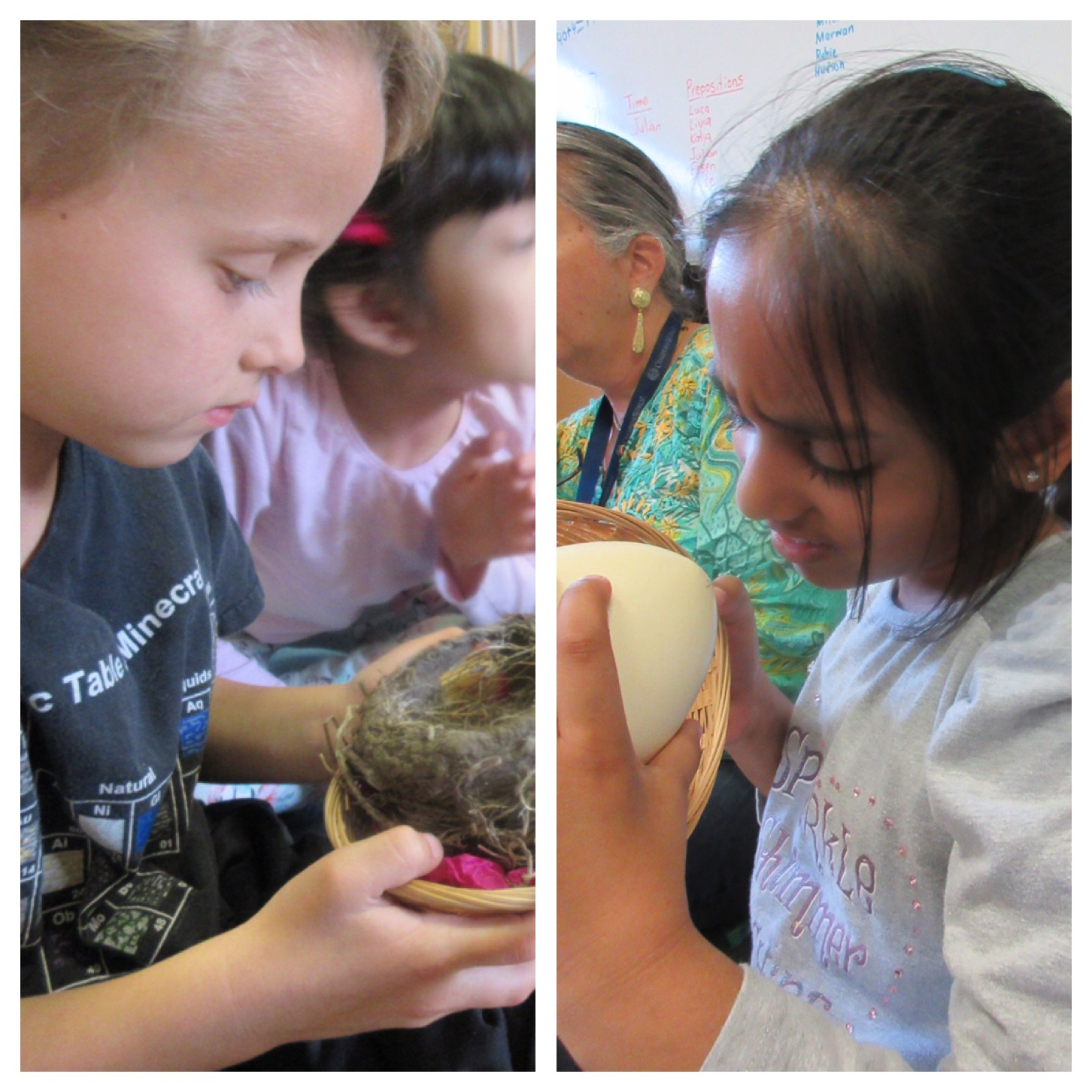 Continuing our bird studies. 