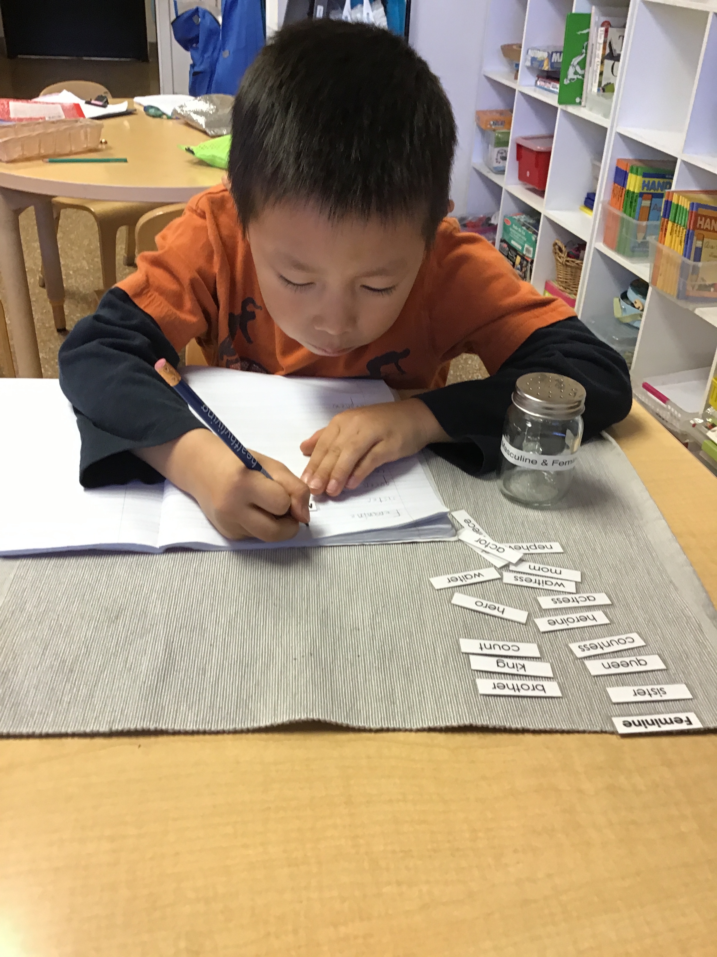 Feminine and Masculine Nouns!