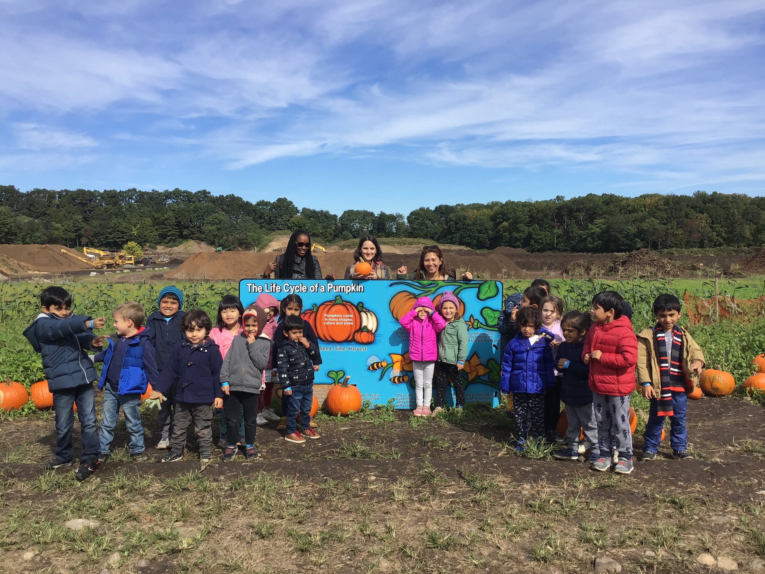 A lovely day at the pumpkin patch