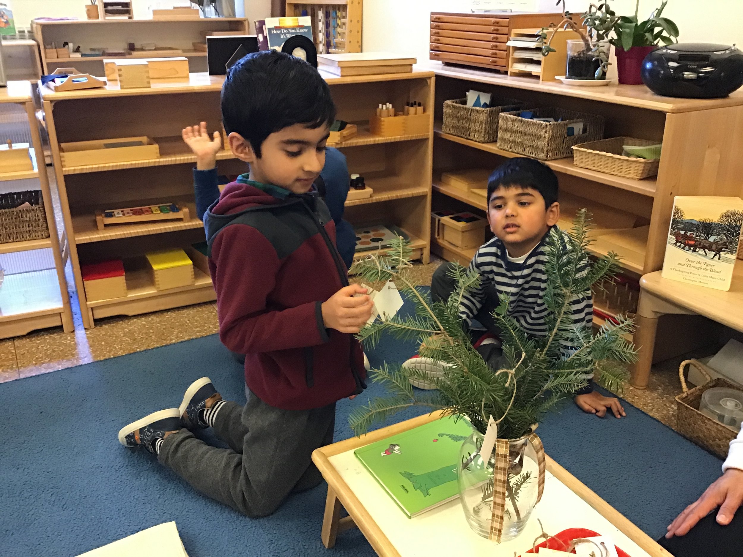 Giving the gift of water to our giving tree
