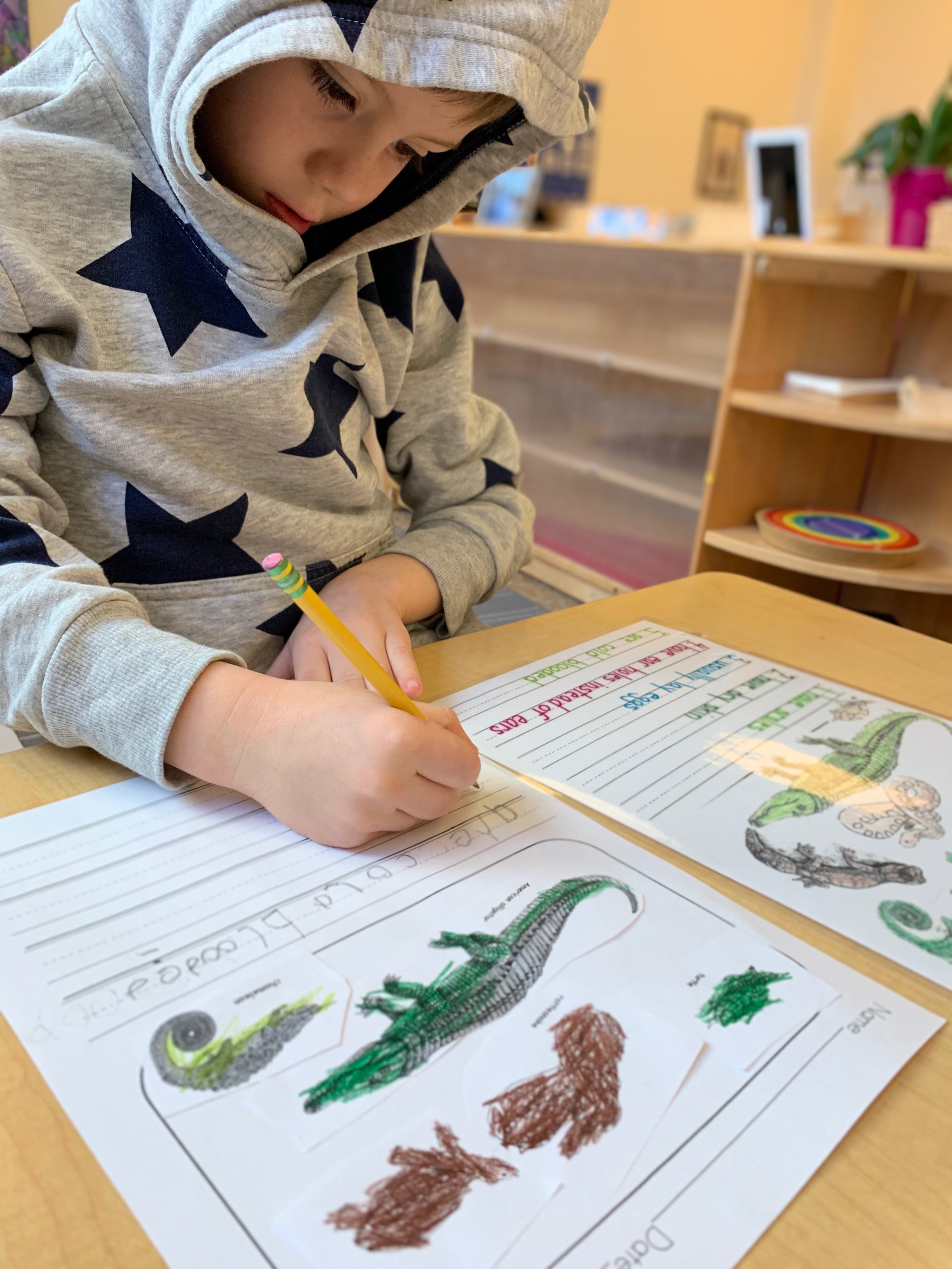 Writing the characteristics of a reptile