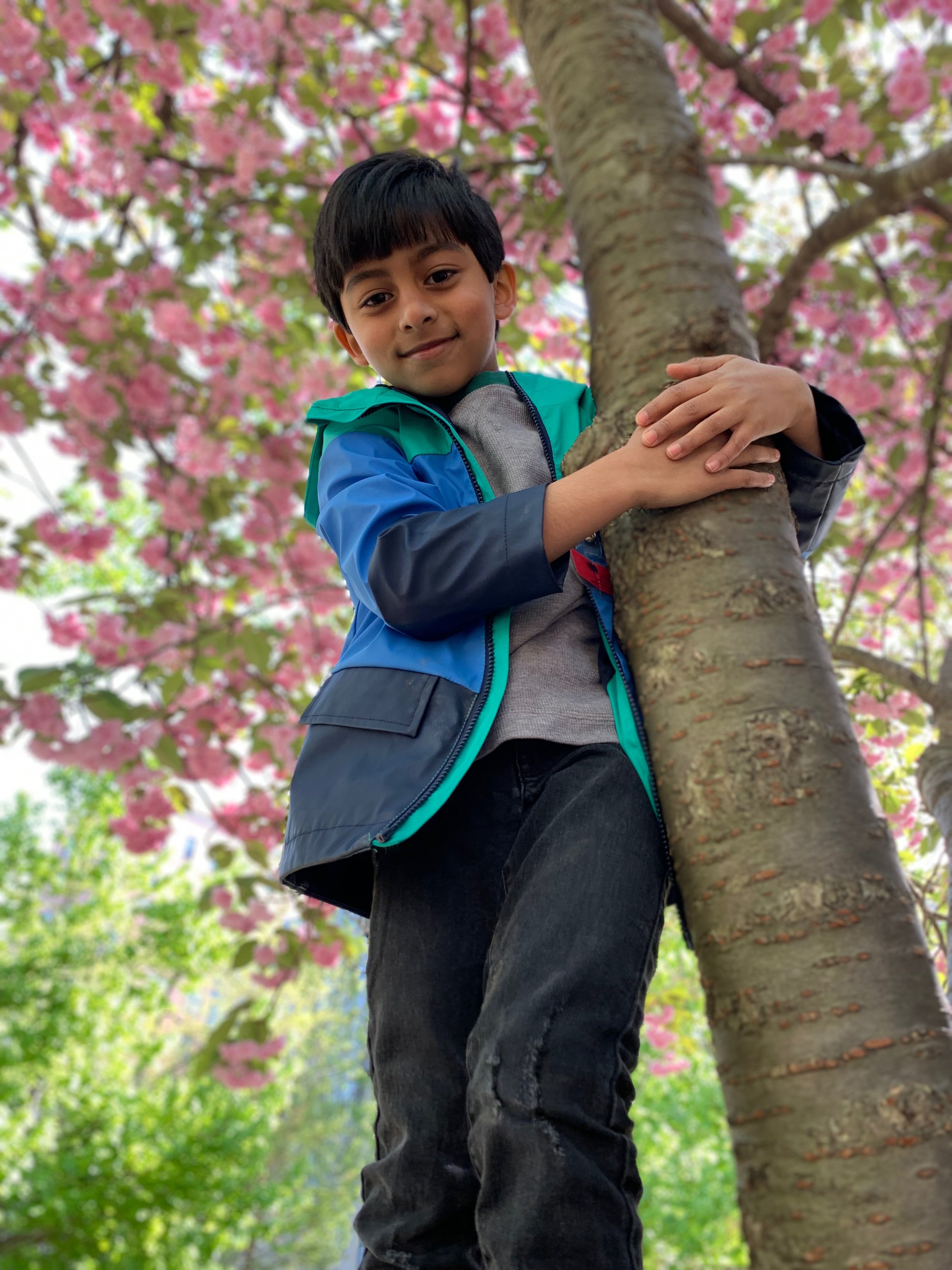 I climbed the tree!