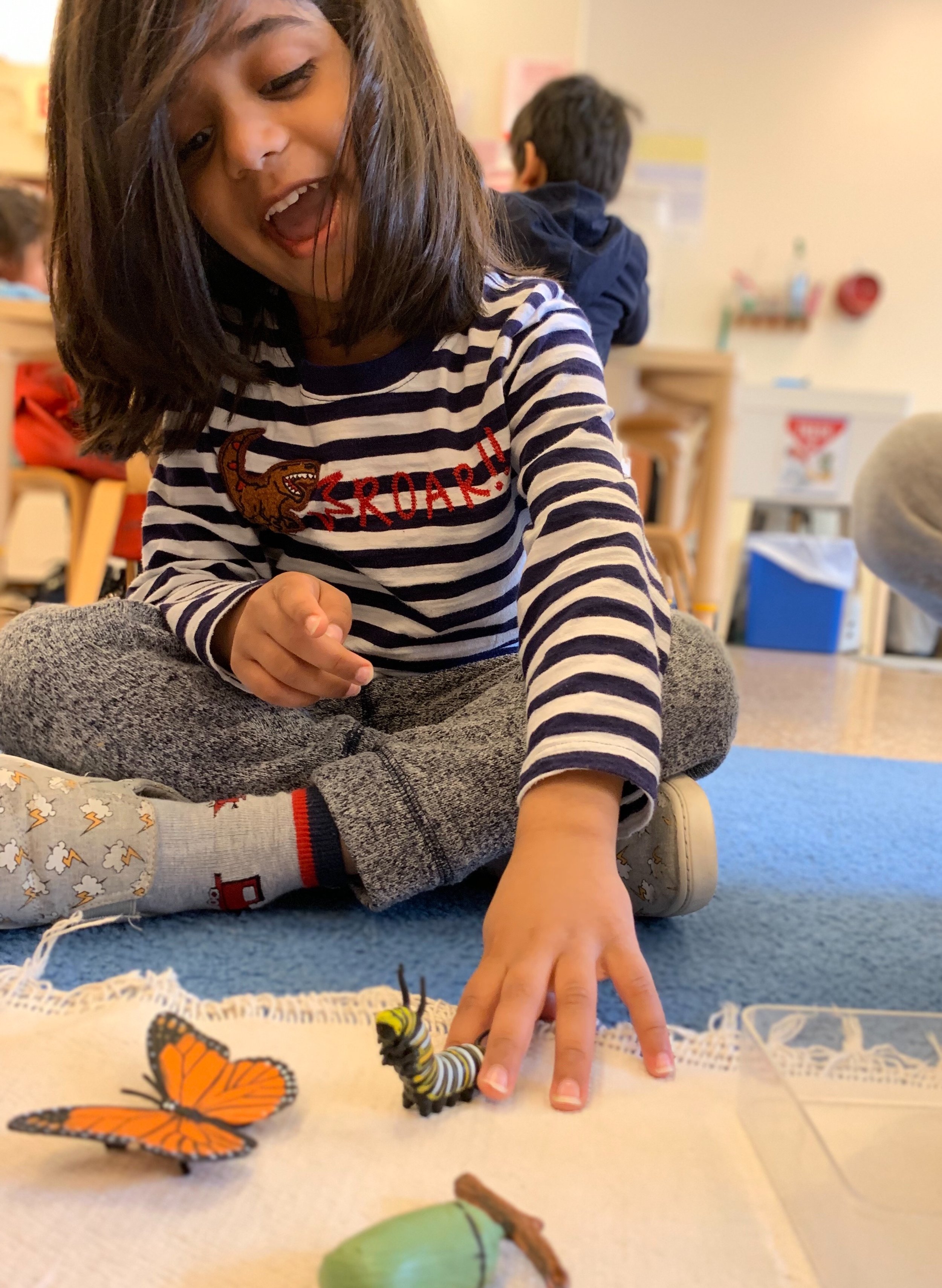 Discovering the lifecycle of a butterfly