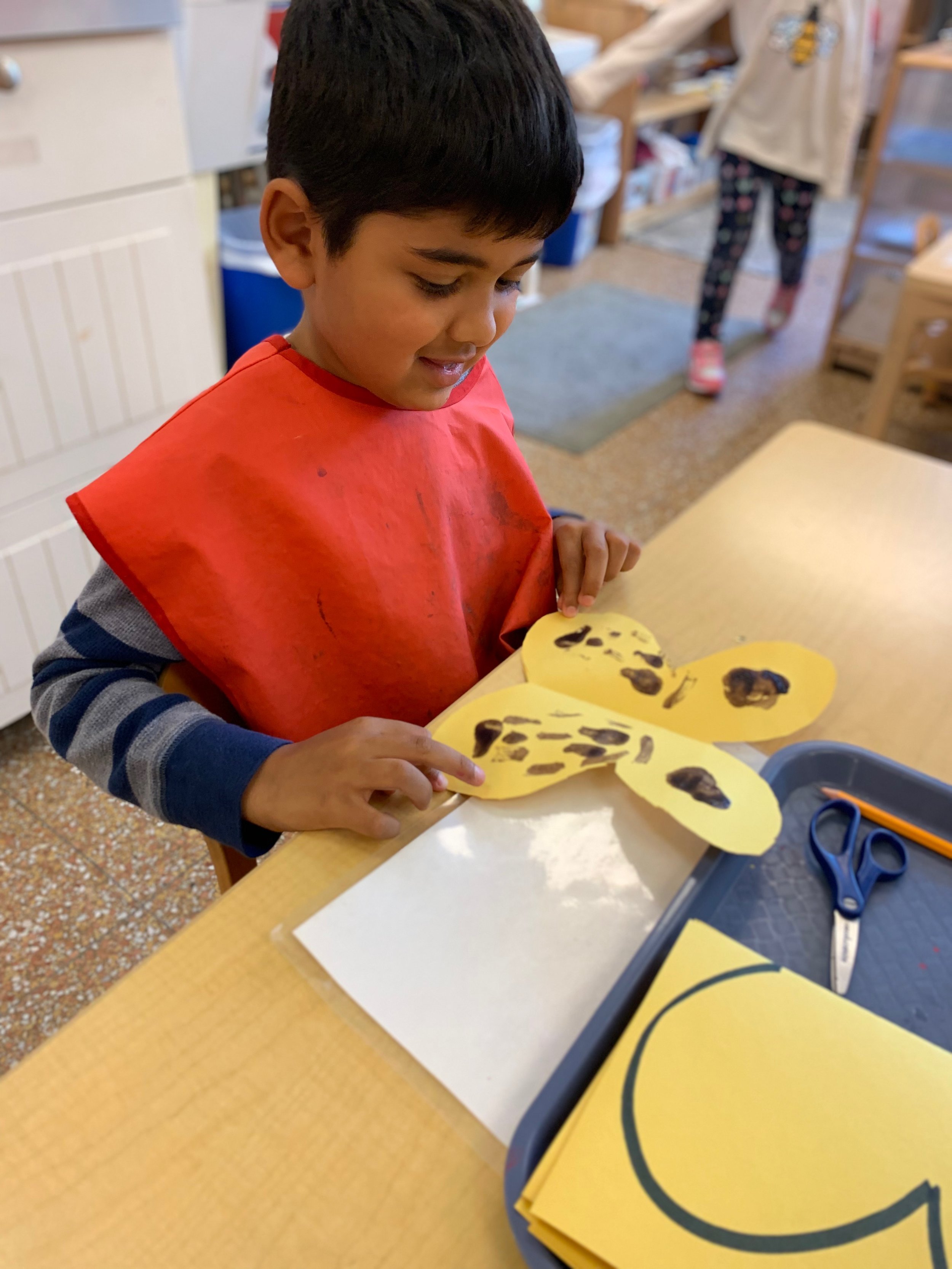 Creating a symmetrical butterfly