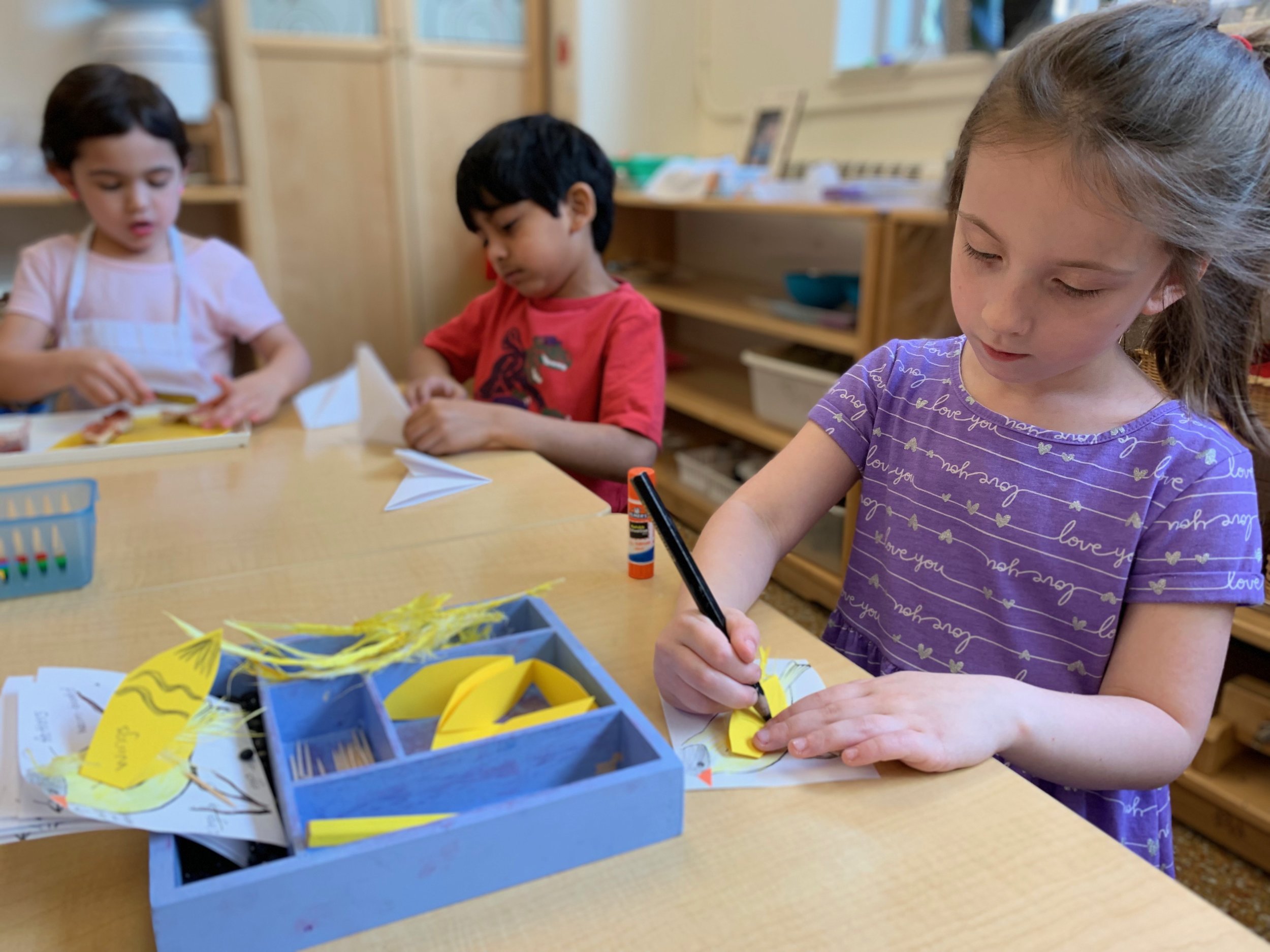 Identifying the characteristics of a bird