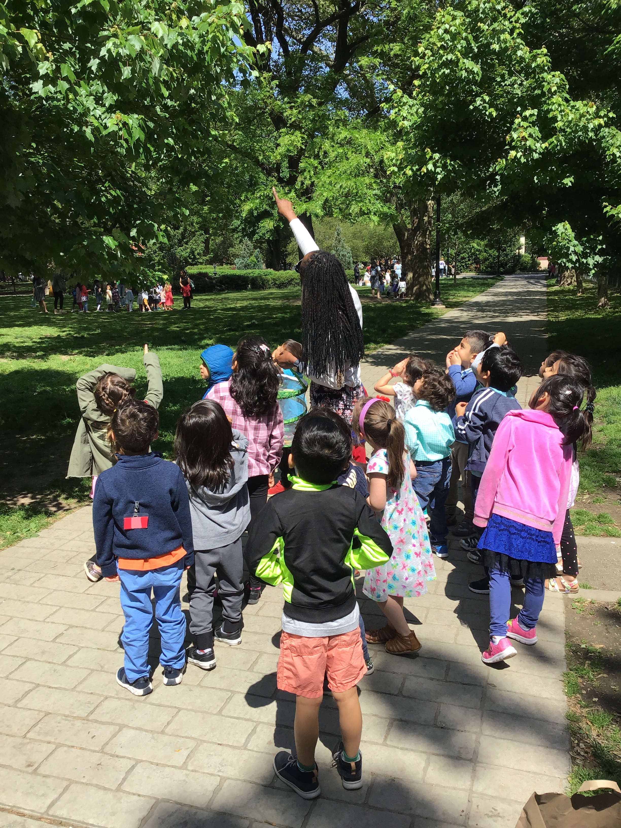 Watching our butterflies fly high