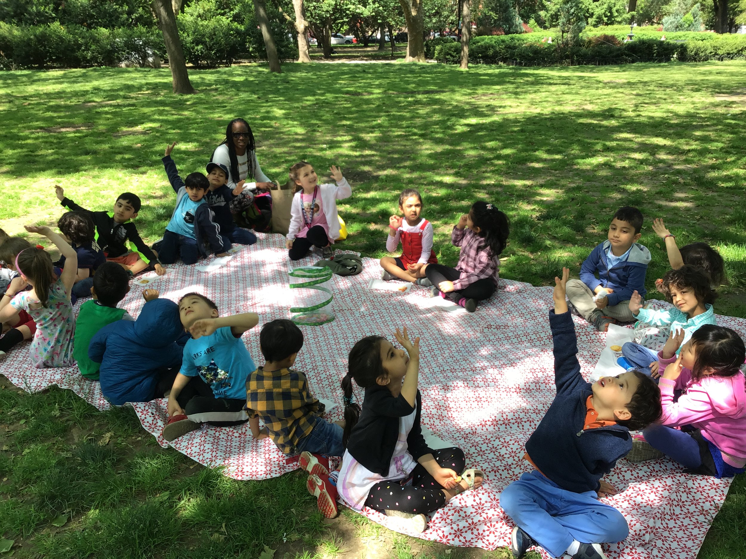 Celebrating the growth of our classroom butterflies