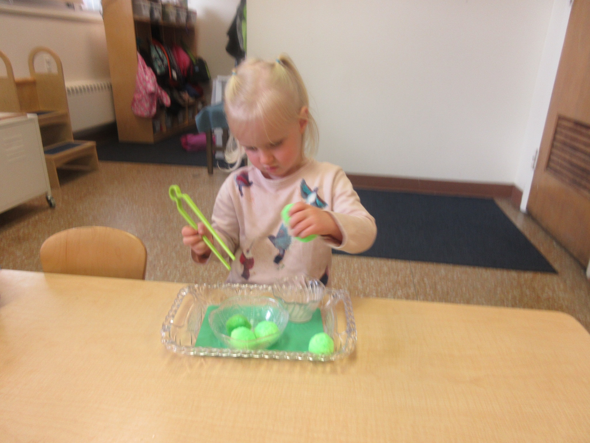 We welcome our new student, Lily to triangle room 
