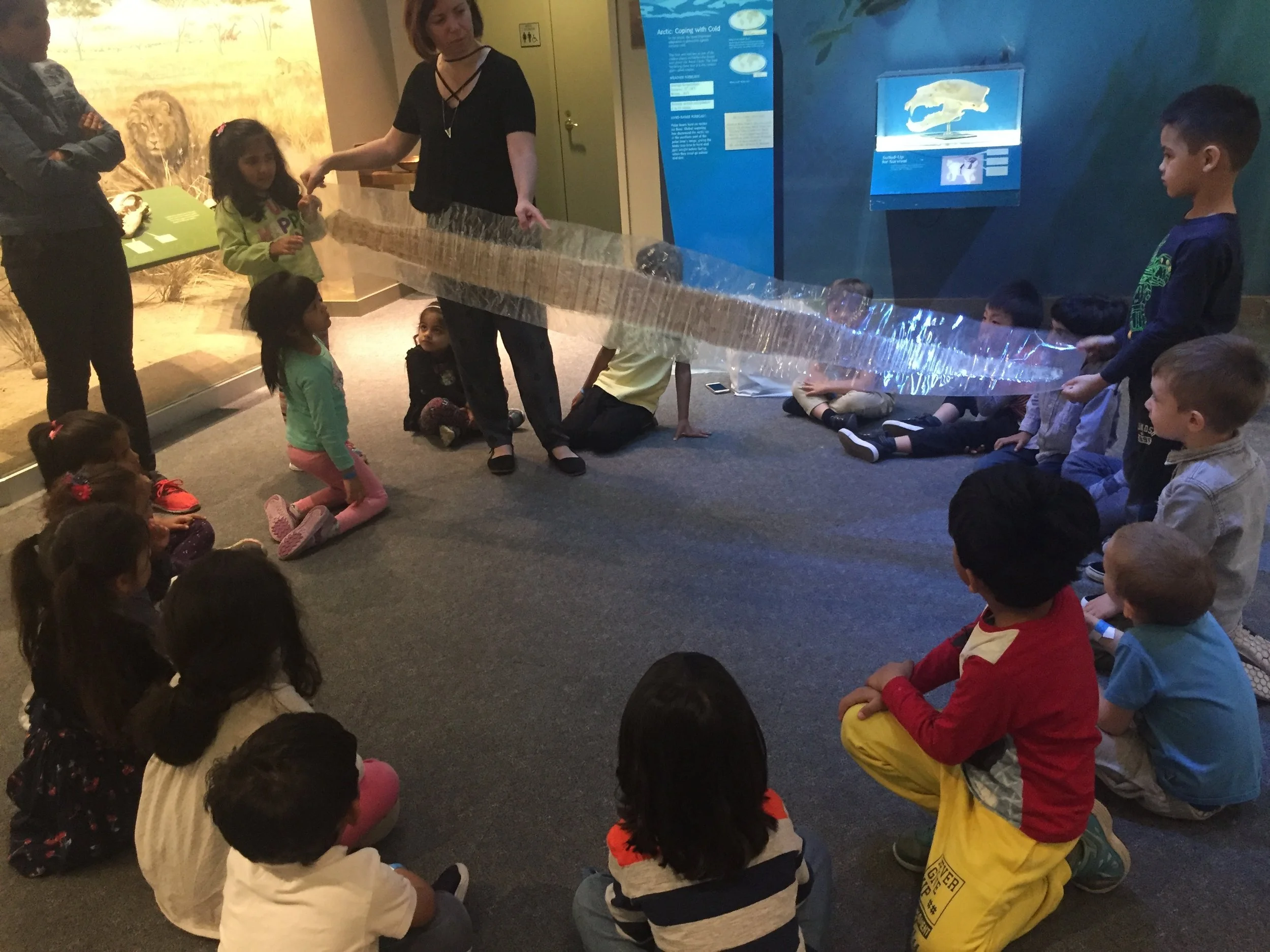 Learning about boa-constrictor shedding the skin at the Newark Museum- Field Trip.