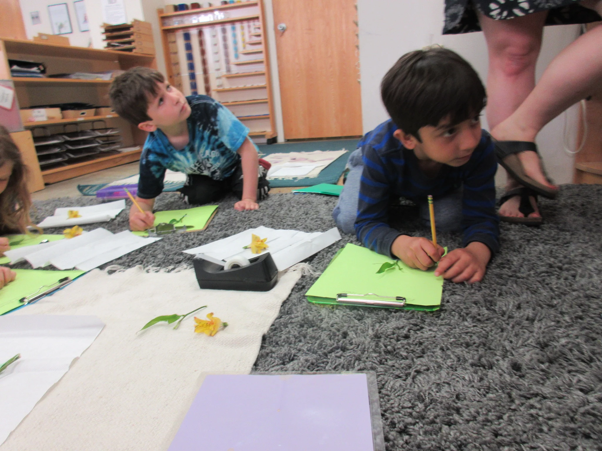 Parts of a flower