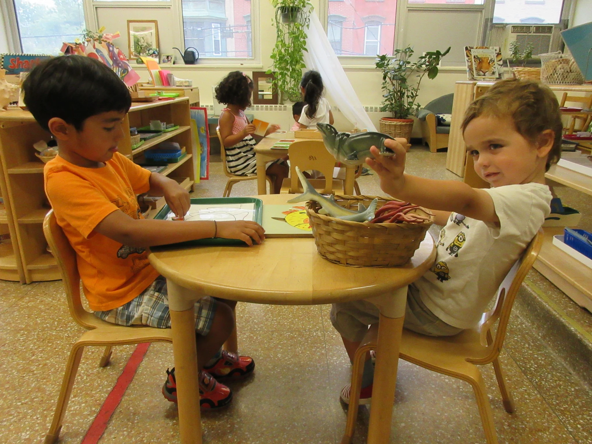 Exploring ocean animal works