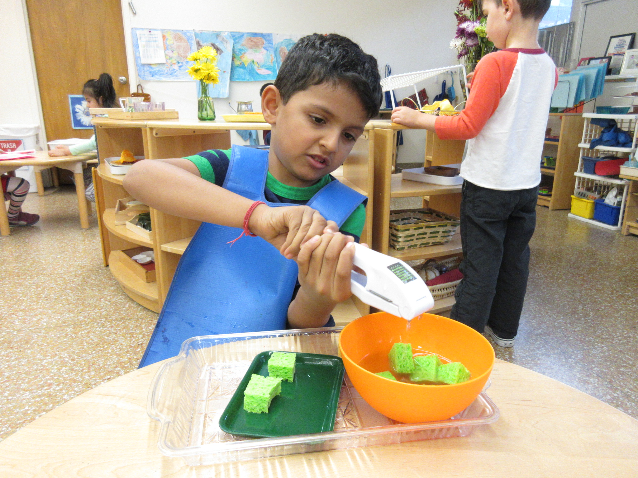 Using a garlic press to squeeze water from sponges 