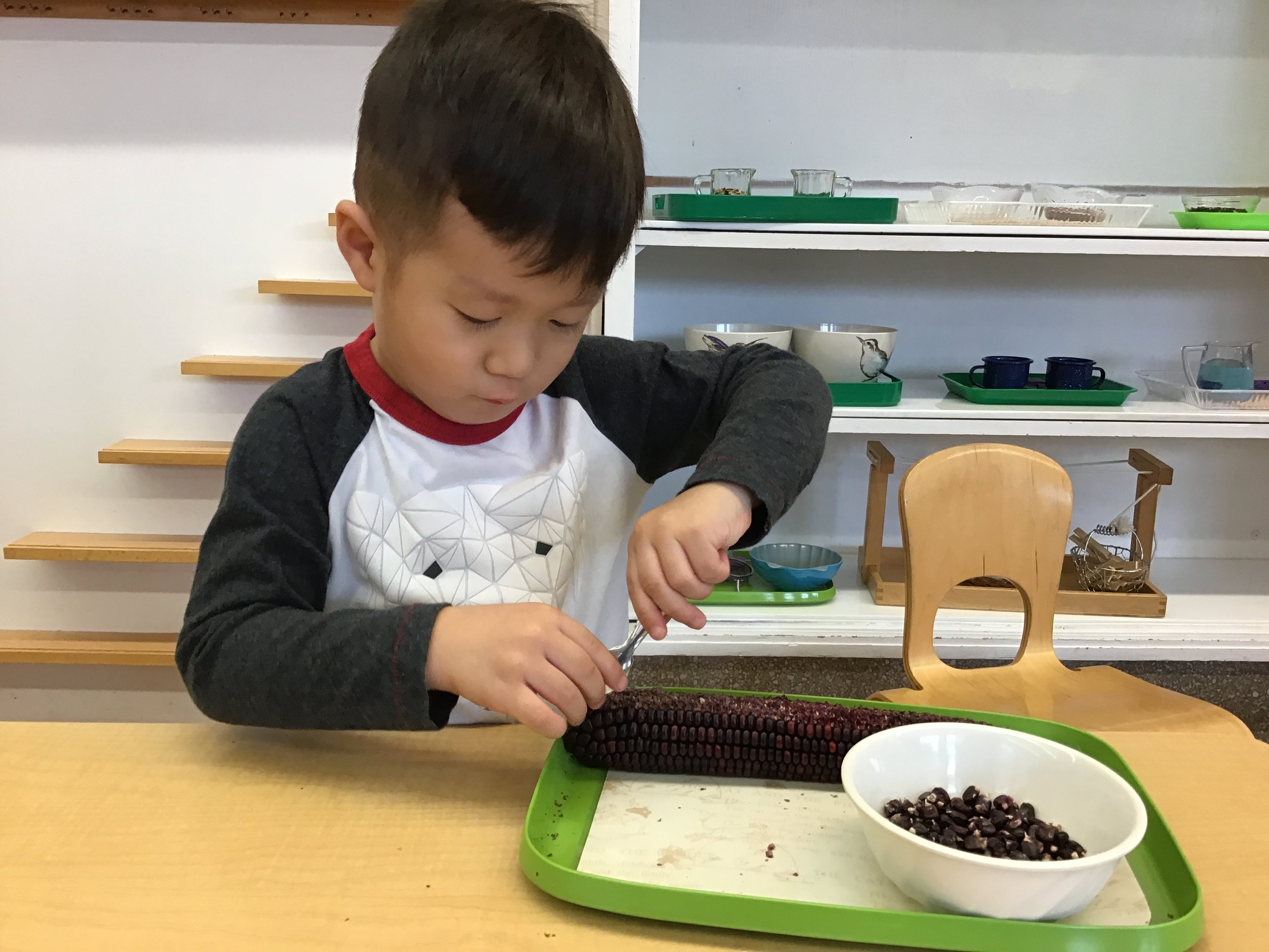 Corn tweezing.... develops fine-motor, concentration and order.
