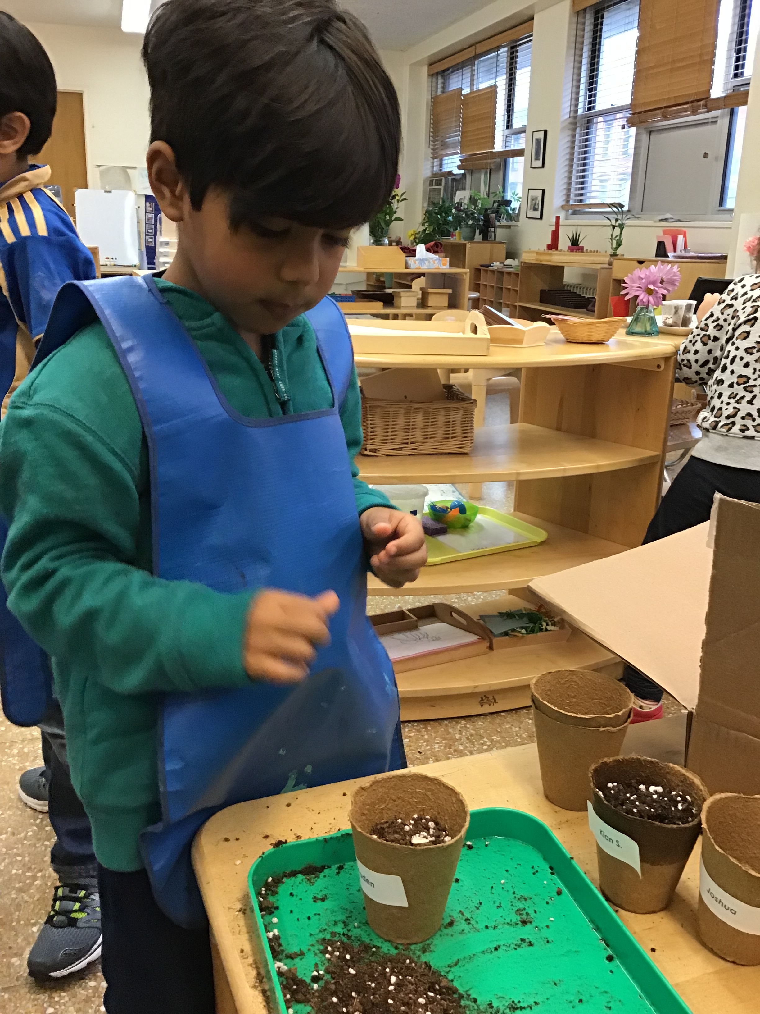 Planting seeds