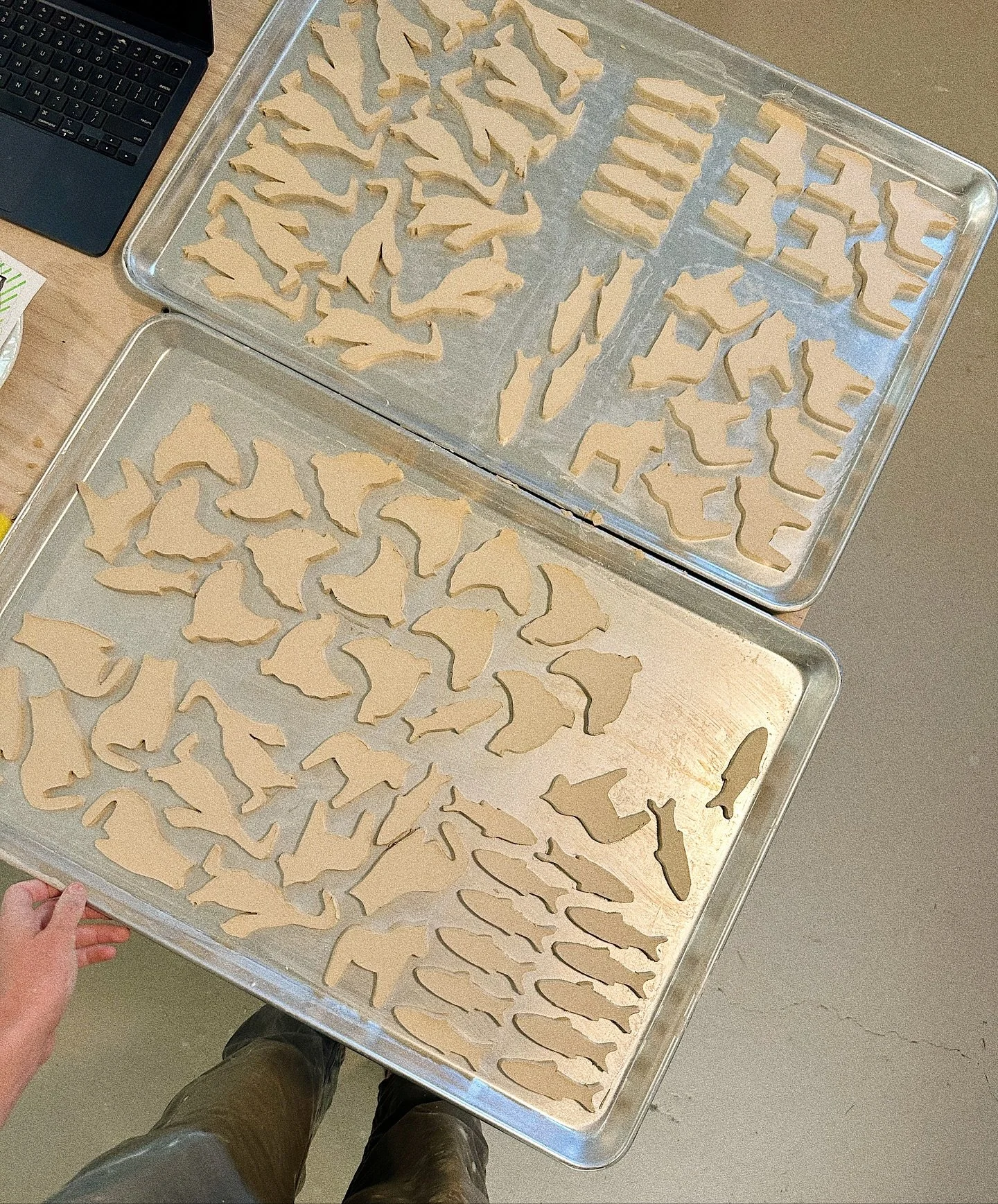 Been a bit behind the scenes lately working on wholesale orders and prepping for markets …BUT I’m back and so excited that it’s officially ornament making season ππ 2025 unintentional theme: cute creatures ππ΄πππͺΏπ 
π·οΈ Pott