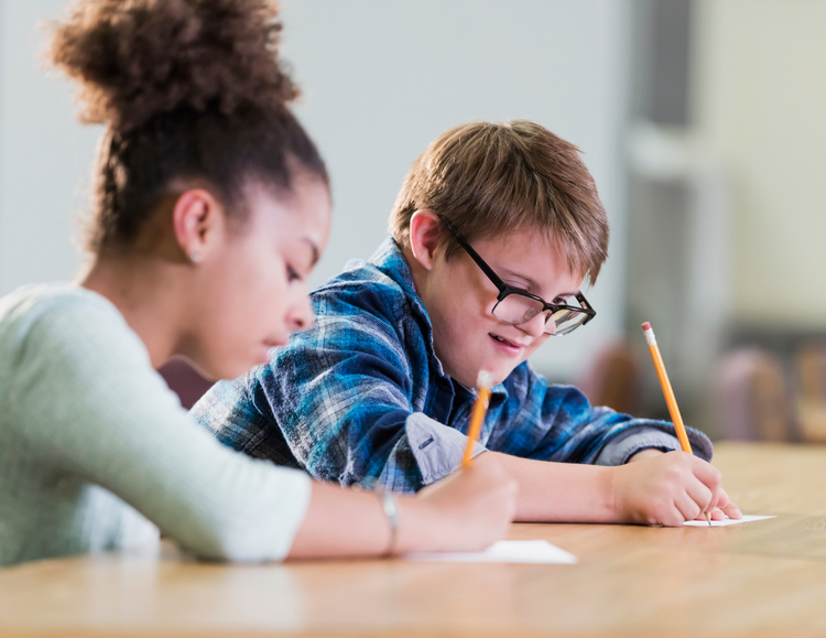 IEP Audit services now available for schools