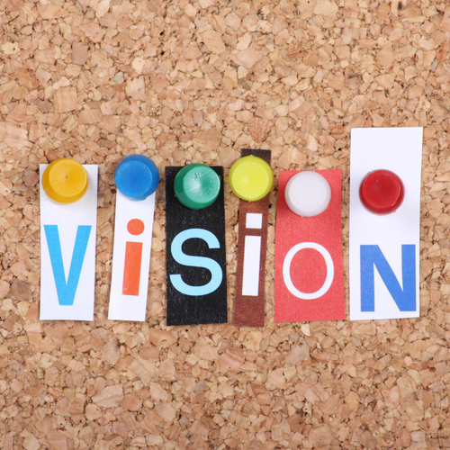 Vision