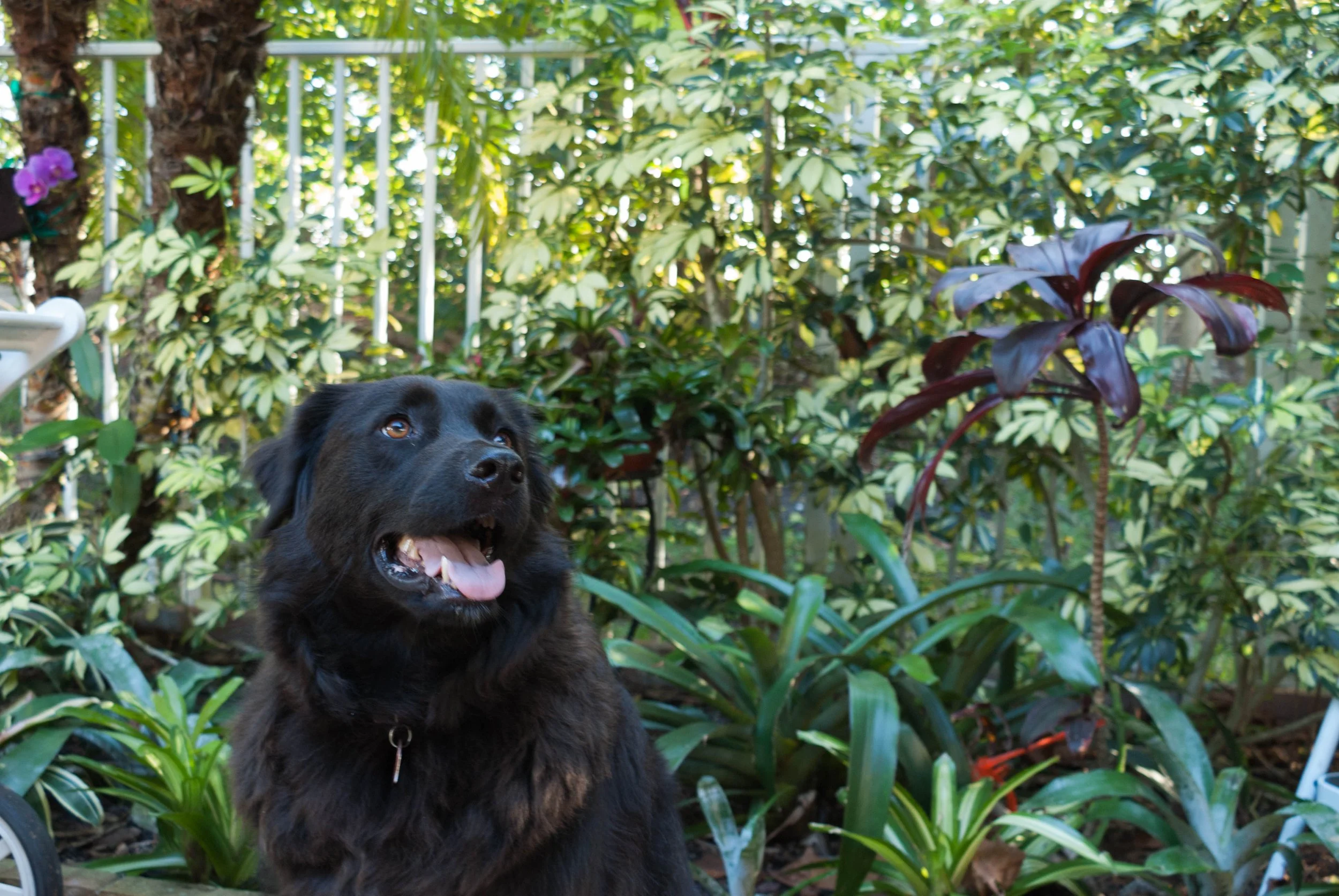 Photography portfolio (5).jpg