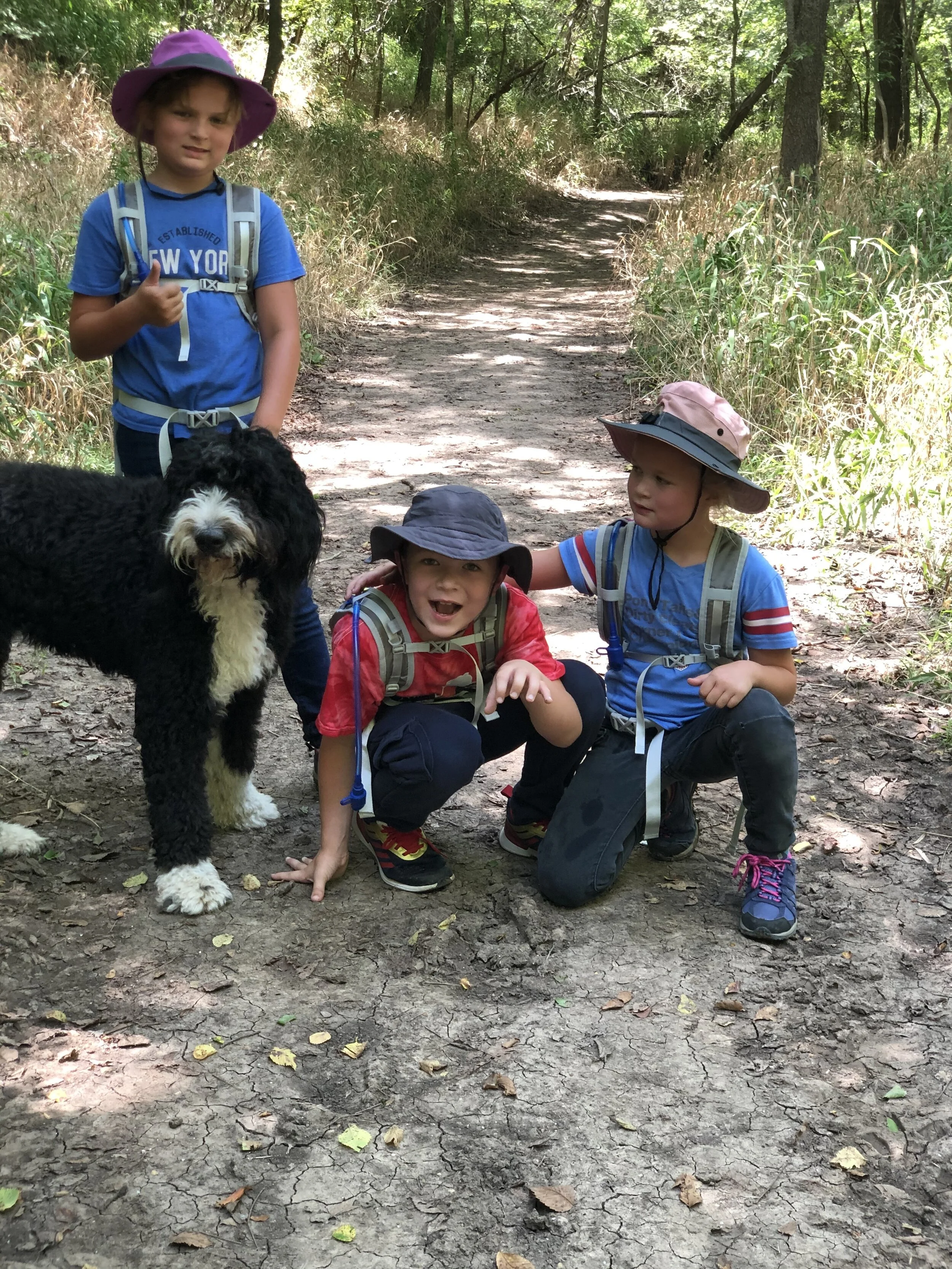 Bernedoodle dog Bernese mountain dog doodle bicolor tricolor puppy poodle family