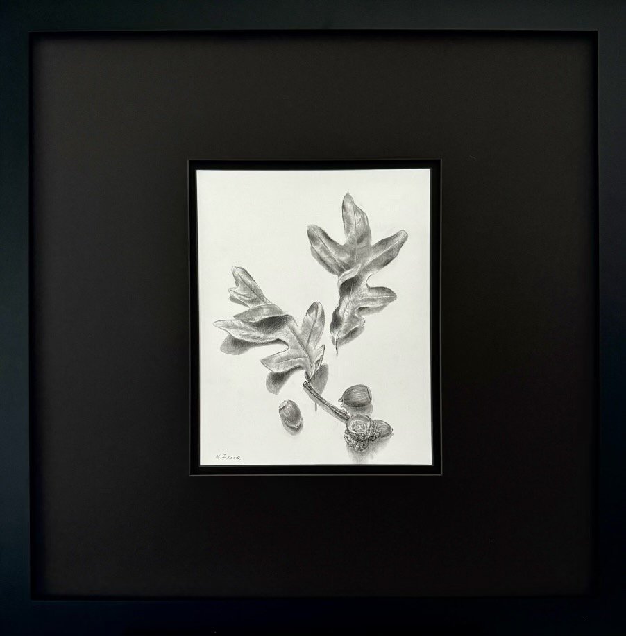 Oak Leaves and Acorns.jpeg