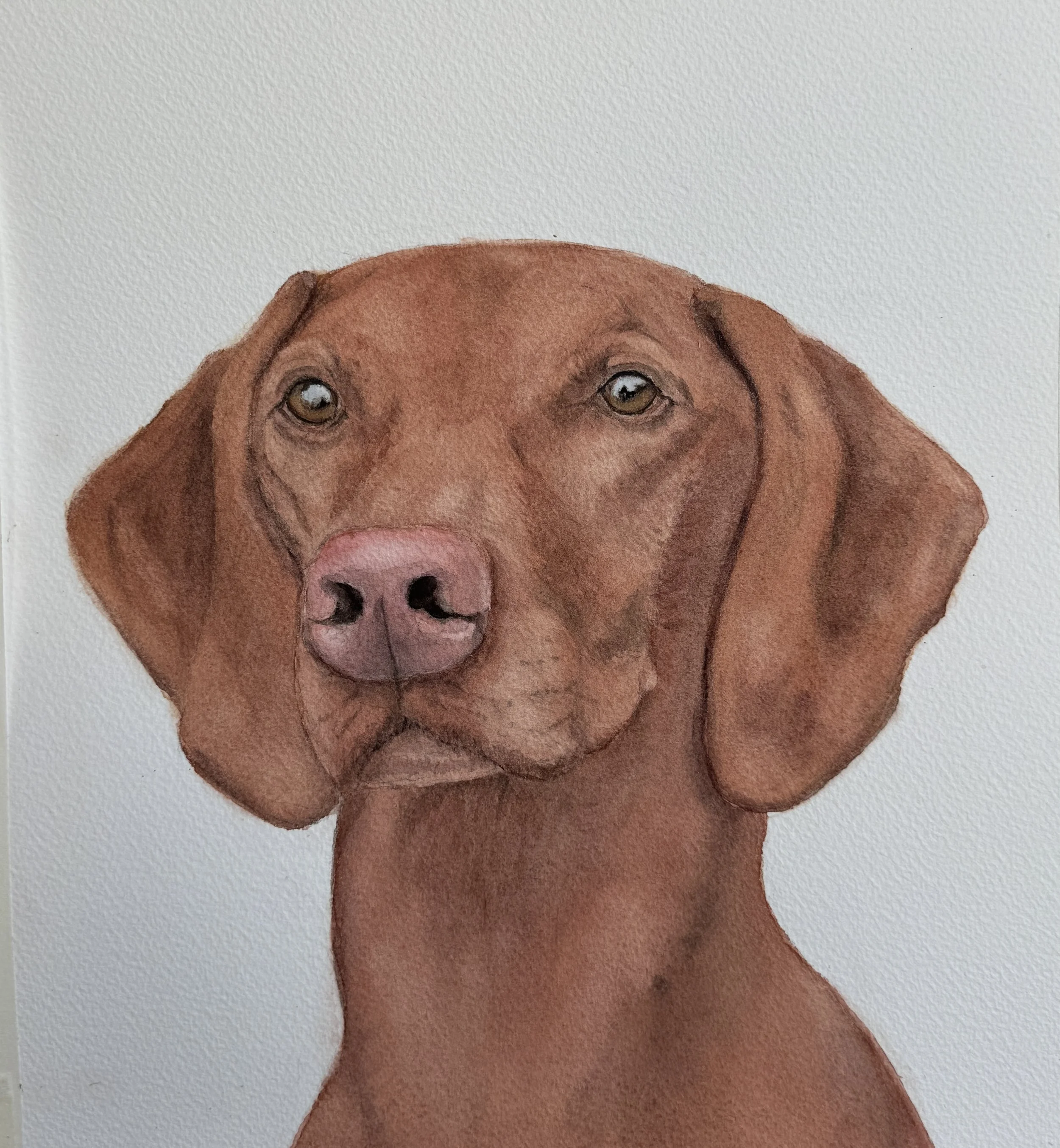 Maddie for Website 2.JPG