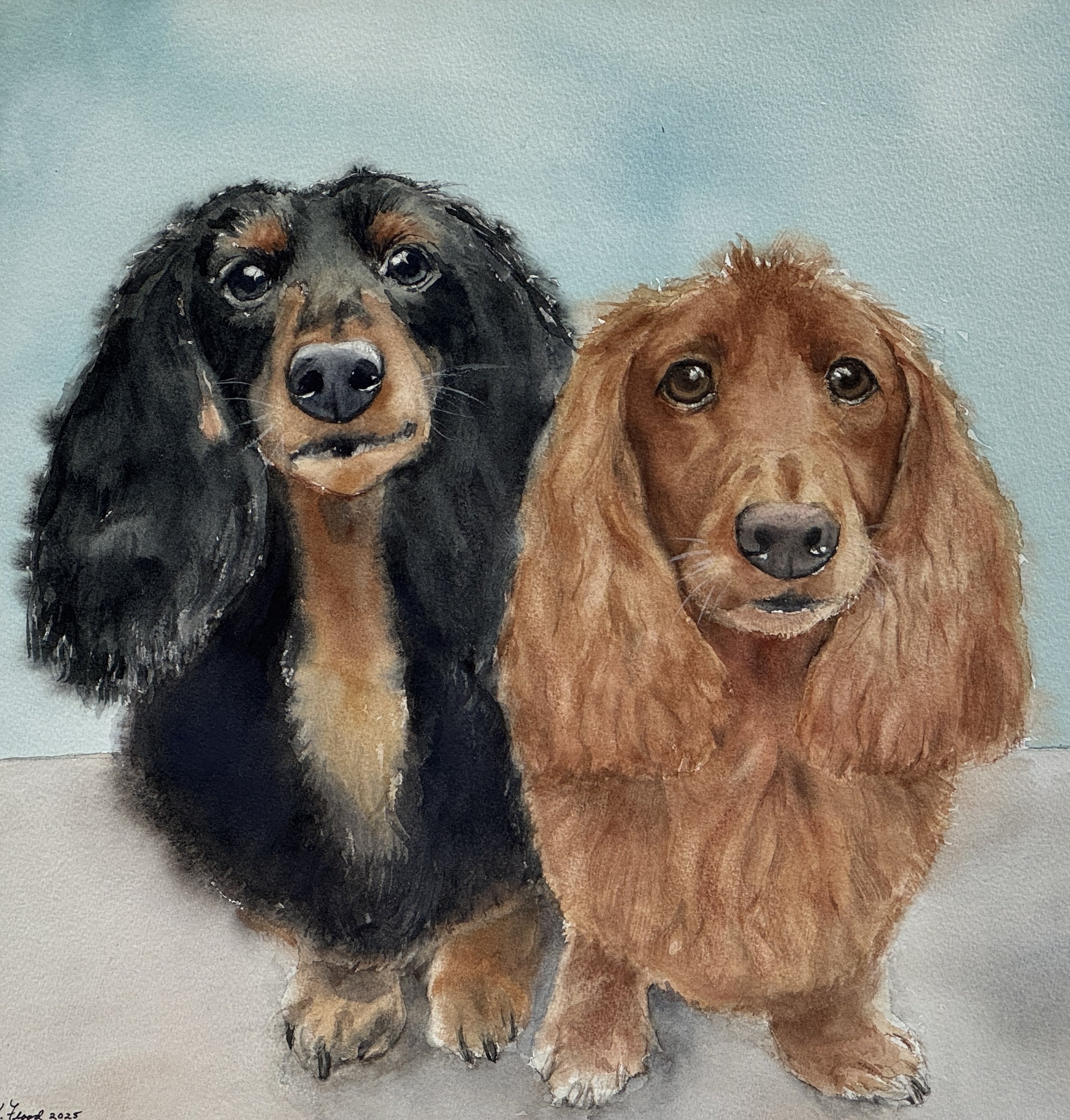 "Double the ears, double the charm."
These two sweet pups were such a joy to paint. I wanted to capture not only their likeness but also their personalities—the curious gaze, the gentle expressions, and those beautiful flowing ears.
Watercolor on pap