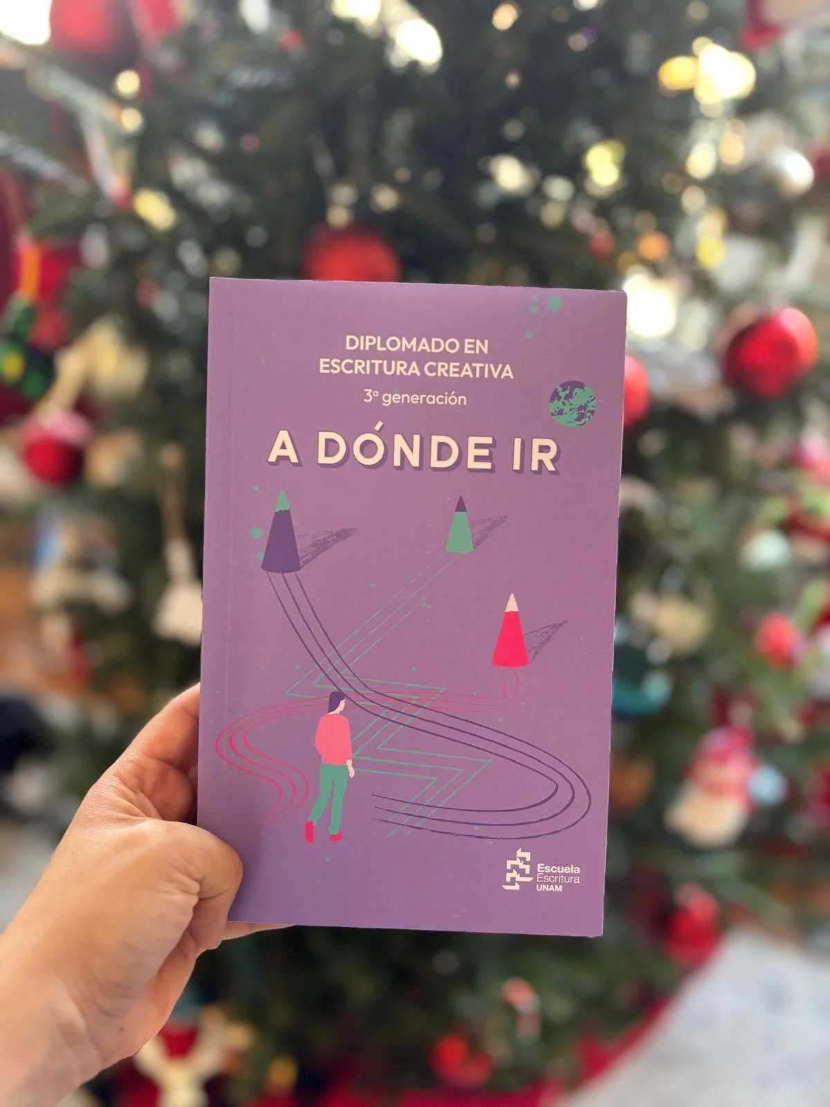 A dónde ir
