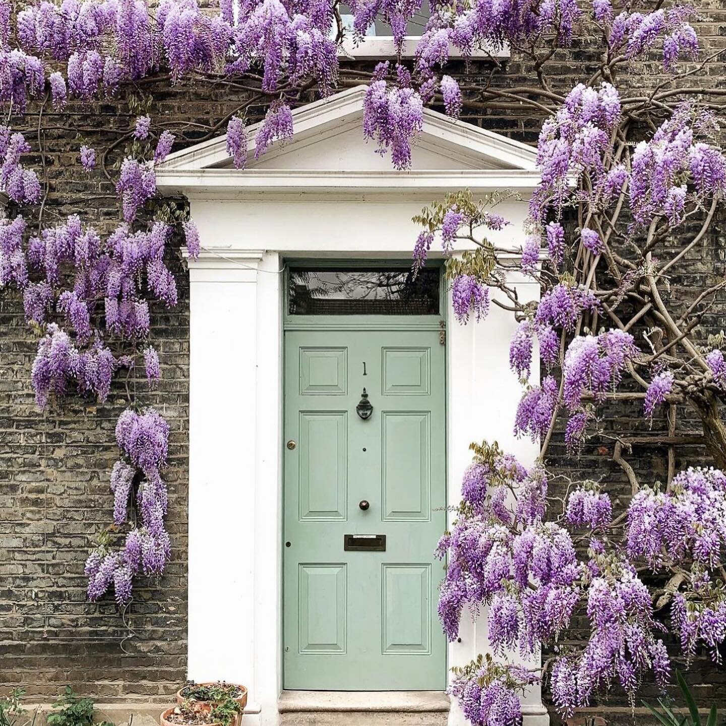 🪻🌸Front door goals when Spring is springing. I&rsquo;m crushing hard on these! Which of these do you love the most?? 🌹🌼
.
1st 📸: @jesstudd
2nd 📸: @brianpuruiz
3rd 📸: @schumacher1889
4th 📸: @hirestreetuk
5th 📸: @alejandroloar
6th 📸: @jo_rodg