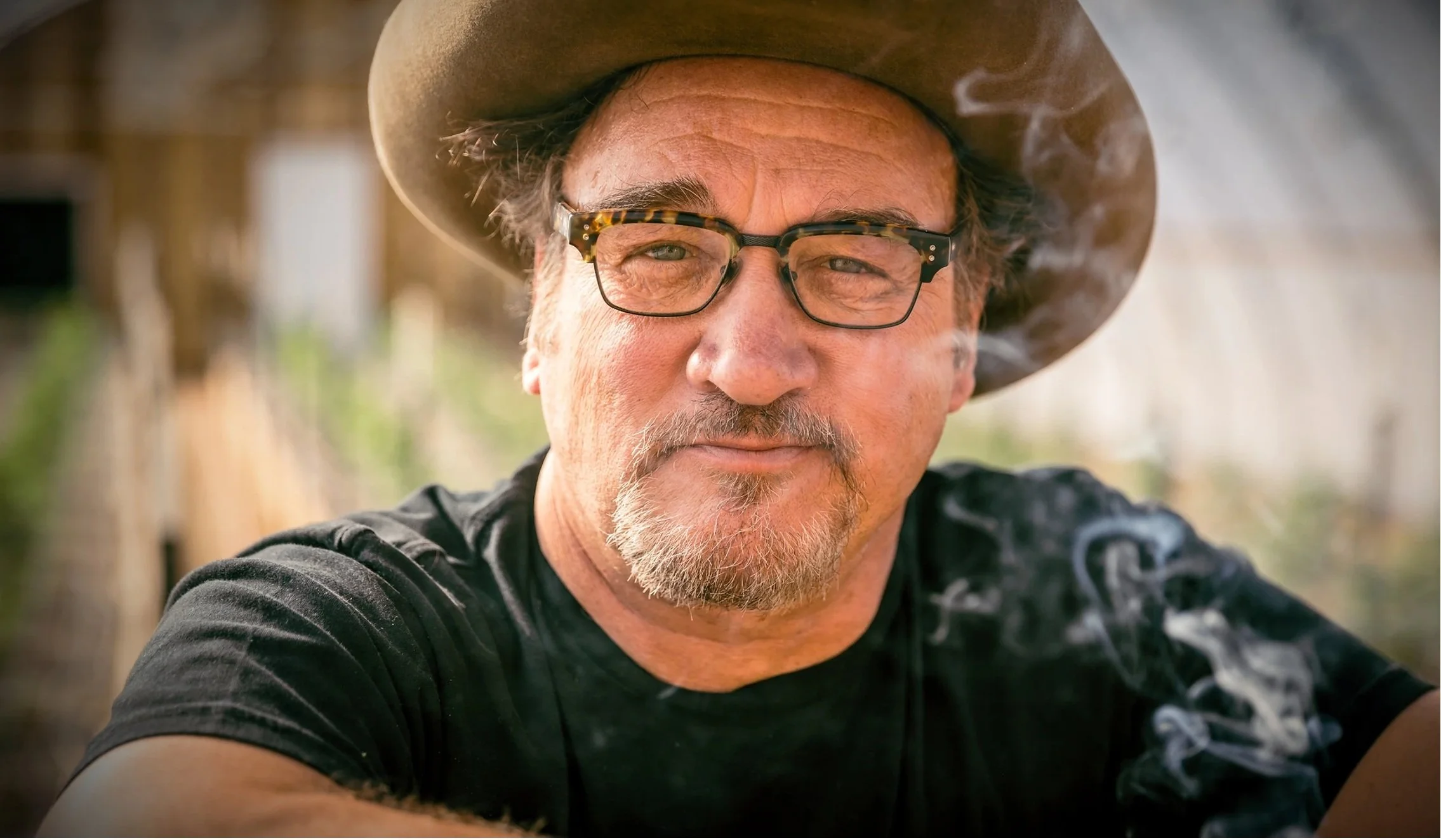 Belushi weed near me is at City Hall Provisions, Fennville Mi