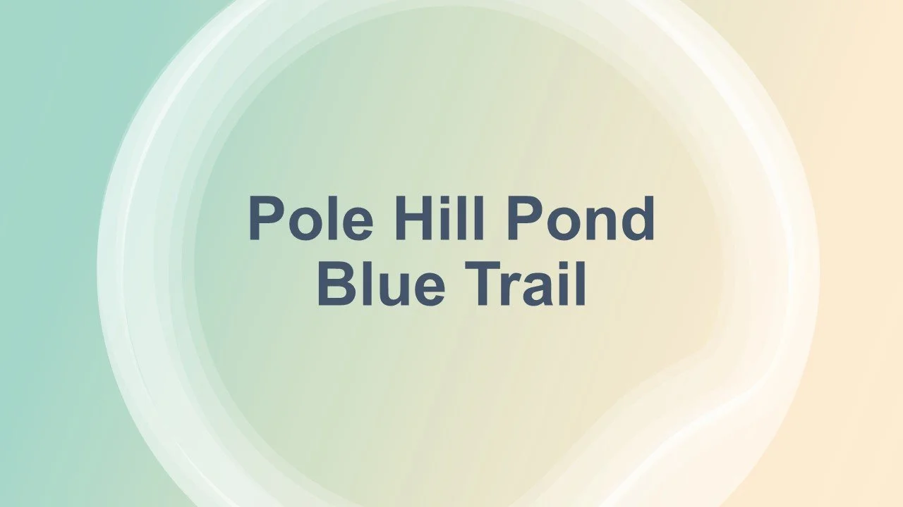 Pole Hill Pond (Blue Trail) - 5.5 Miles