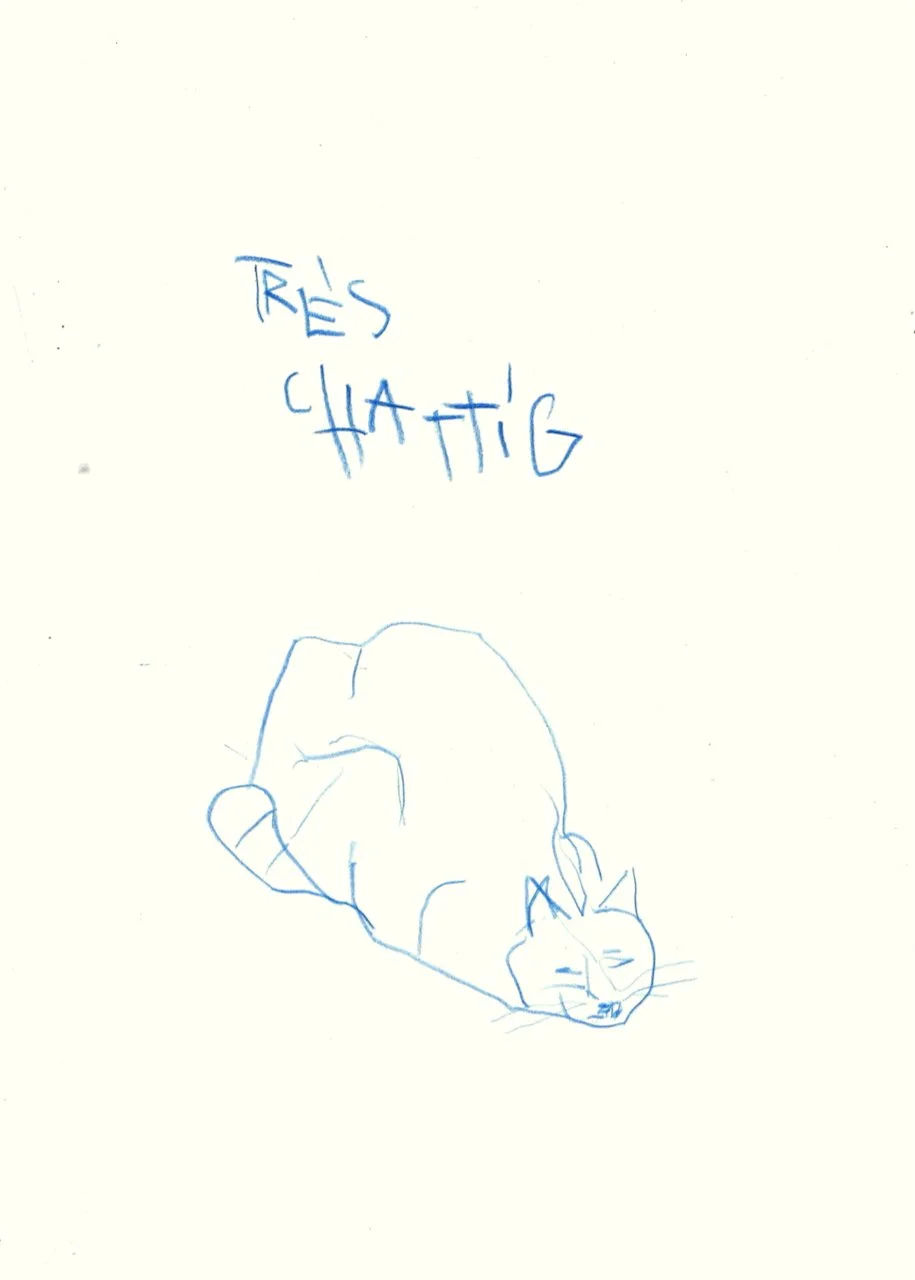 43.jpeg