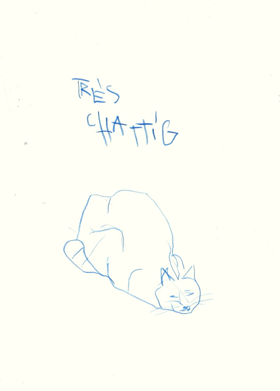 Très chattig, 2025
 
potlood op papier
 
21 x 29,7 cm
 
200 €