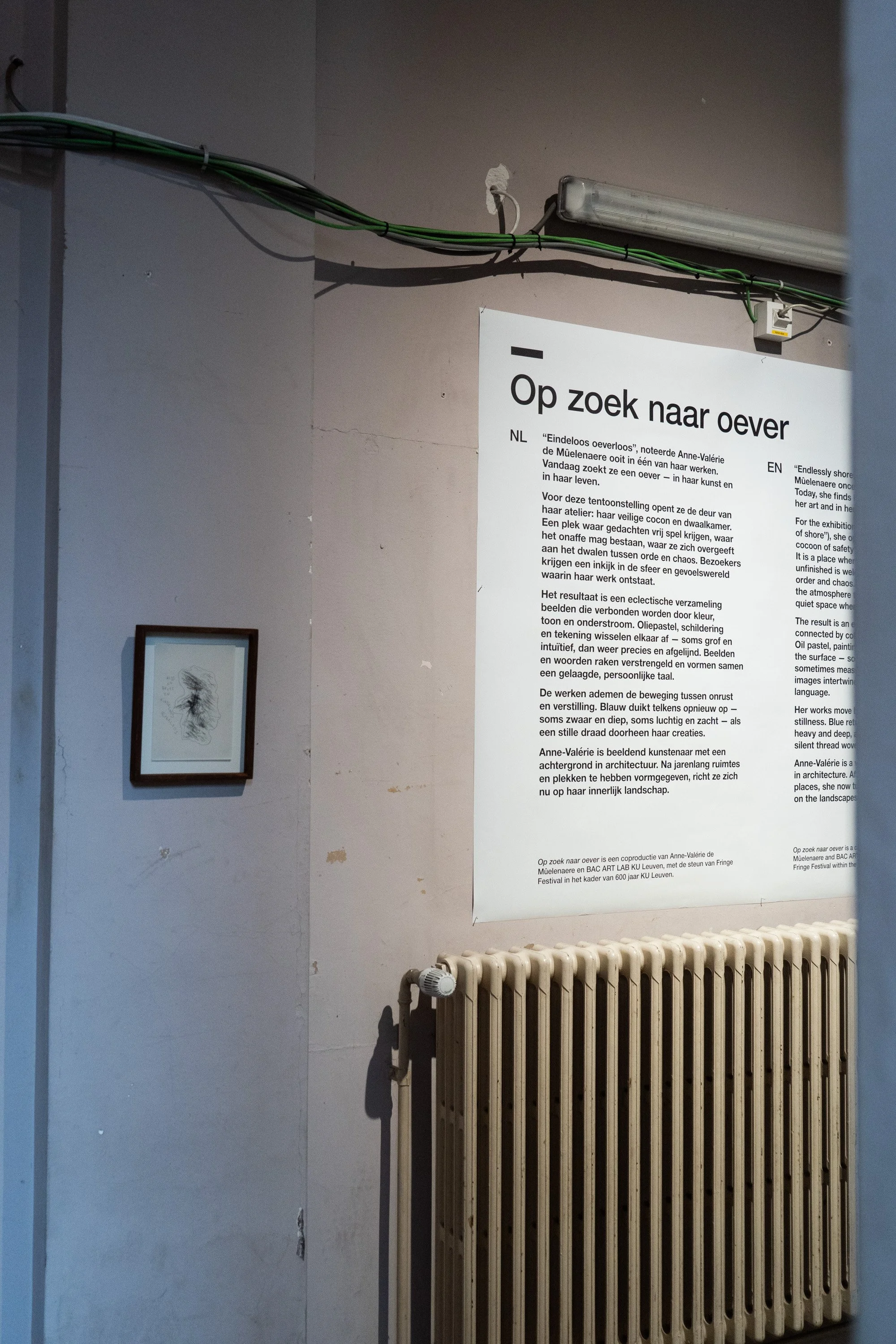 bac - fringe 2025 - anne-valérie (draft)-74.jpg