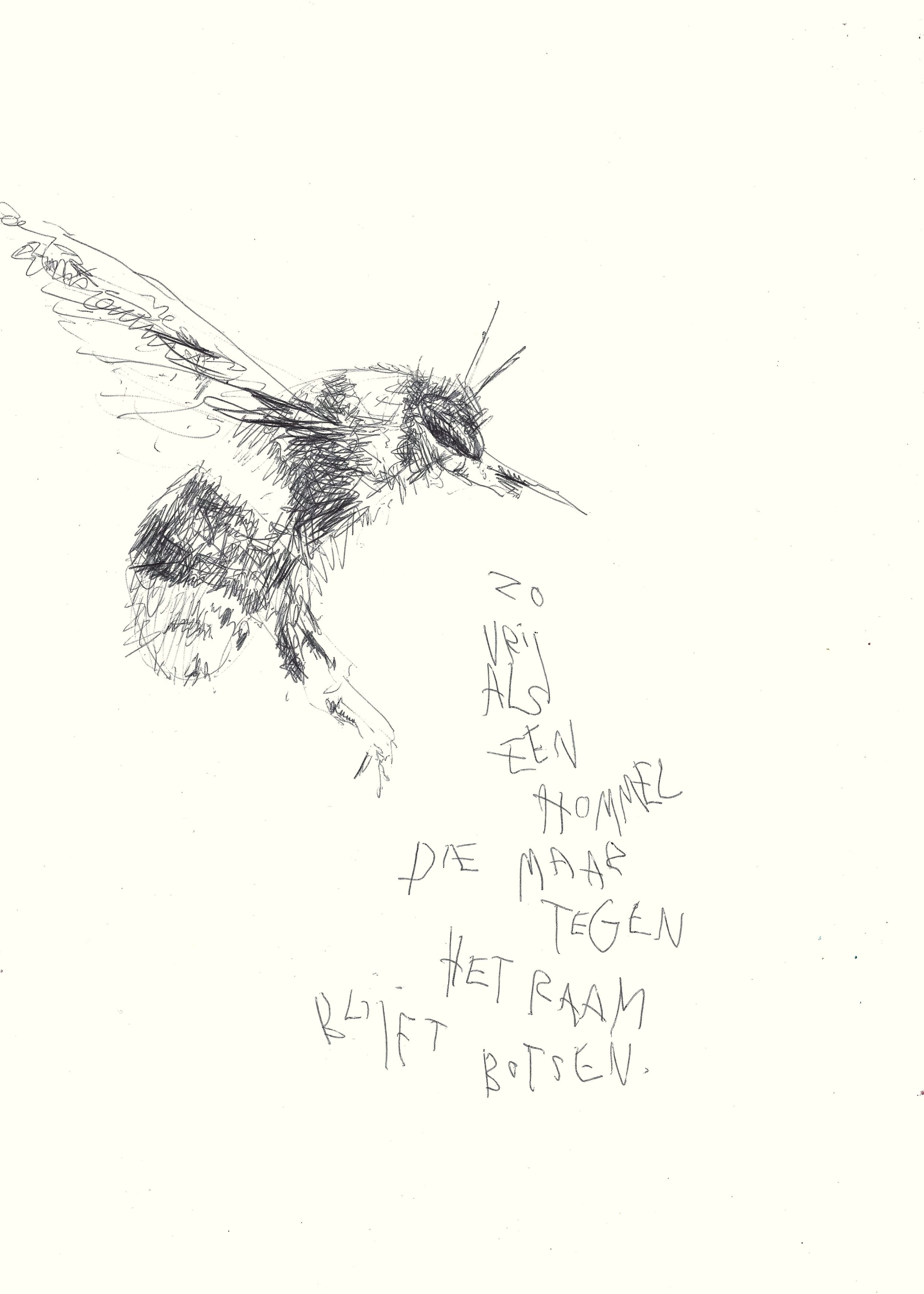 hommel
 
inkt
 
21 x 29,7 cm
 
€ 200,-