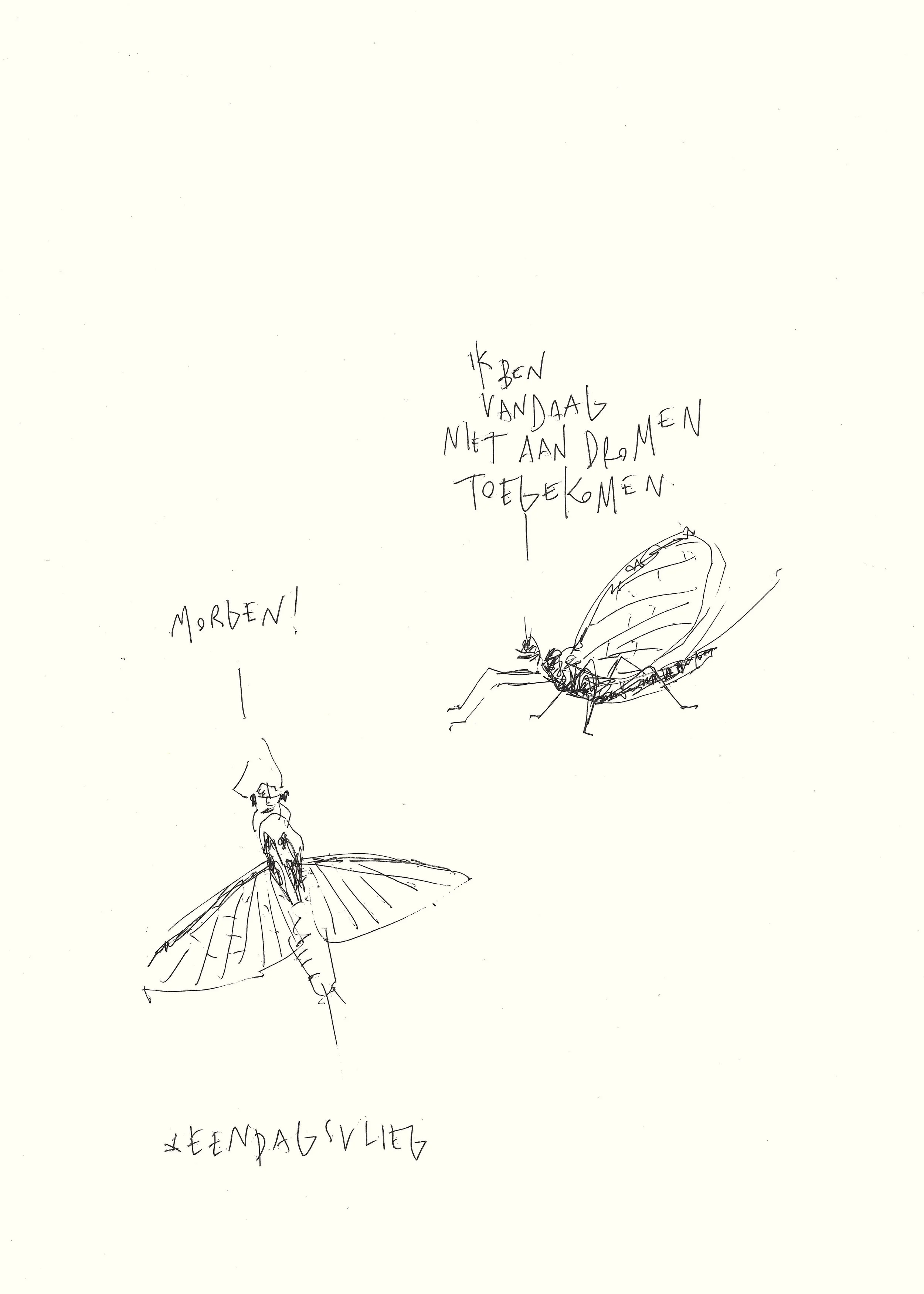 eendagsvlieg
 
inkt op papier
 
21 x 29,7 cm
 
€ 200,-