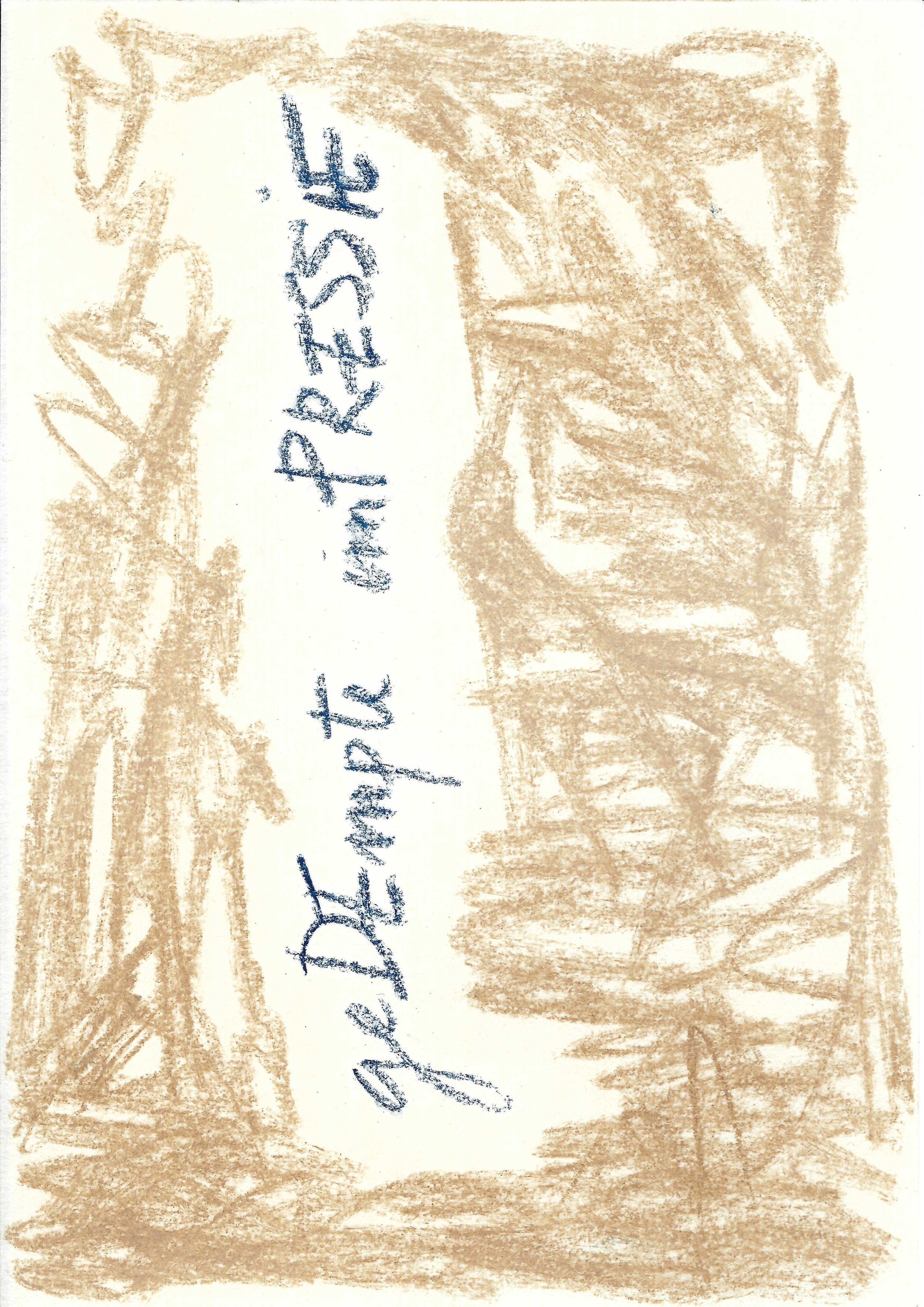 AV-2024-044
 
inkt en droog pastel op papier
 
14,8 x 21 cm
 
140 €