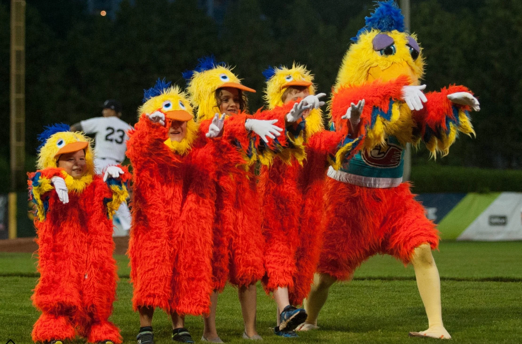   The Chicken (and some friends) at Labatt Park on May 22, 2017. (Photo: Matt Hiscox Photography).  